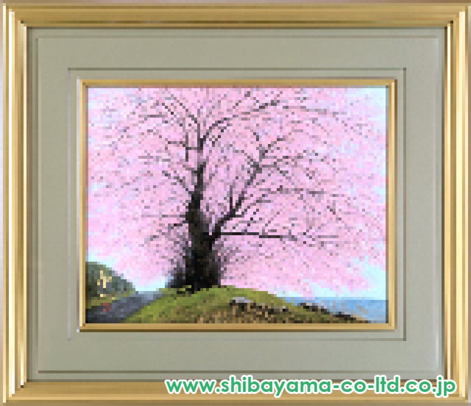 中路融人「桜」日本画 6号 :: 絵画買取・販売 - シバヤマ