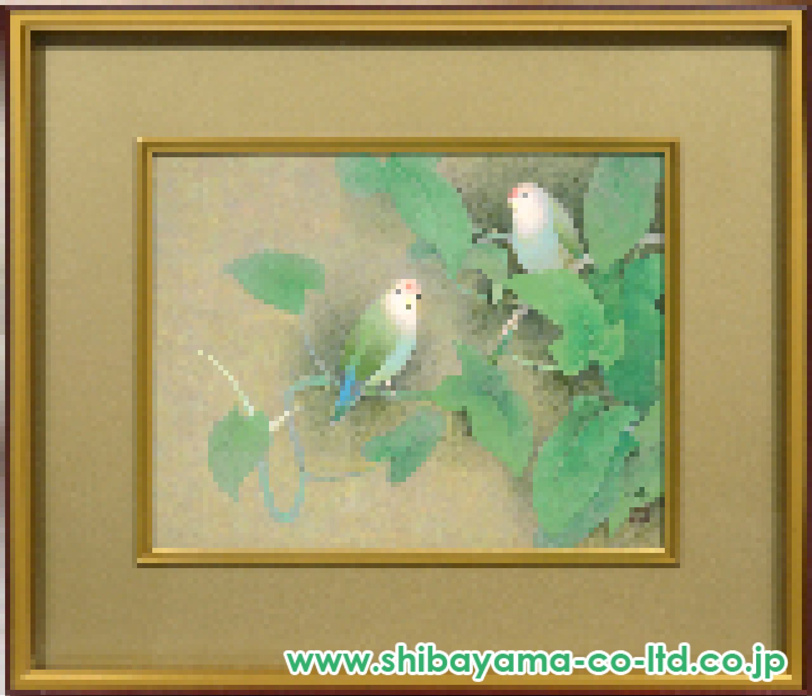松本勝「小桜インコ」日本画 6号 :: 絵画買取・販売 - シバヤマ