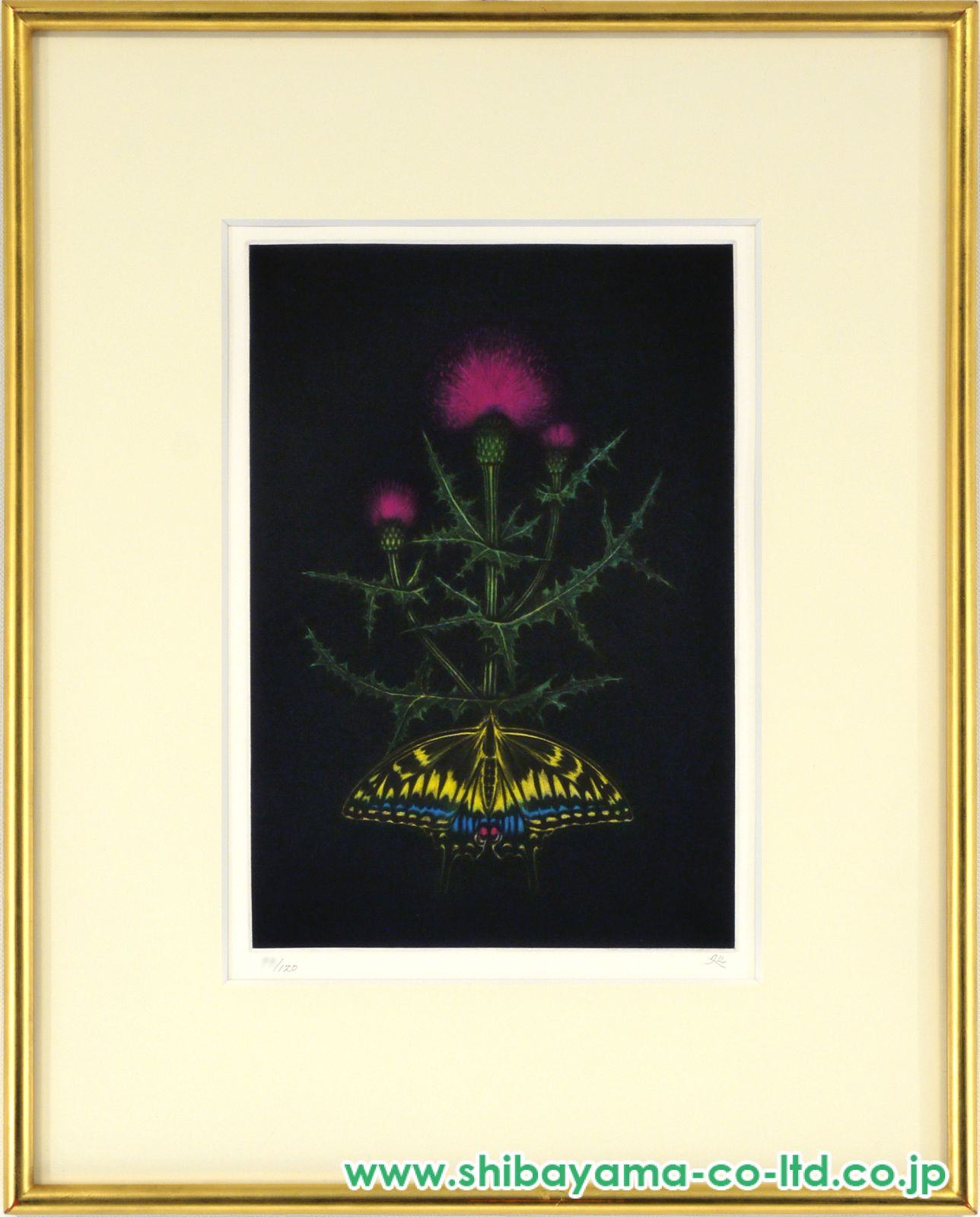 加山又造「薊」ドライポイント＋メゾチント :: 絵画買取・販売