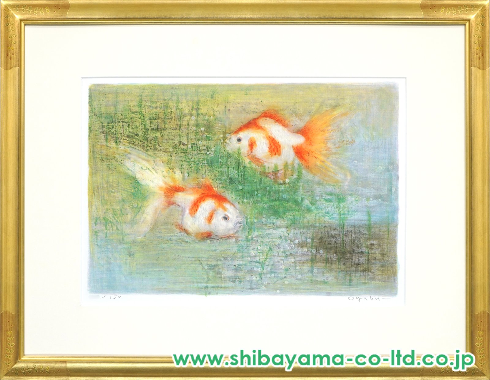絵画 リトグラフ AMANO作 金魚 絵画 リトグラフ AMANO作 金魚 絵画 リトグラフ AMANO作 金魚