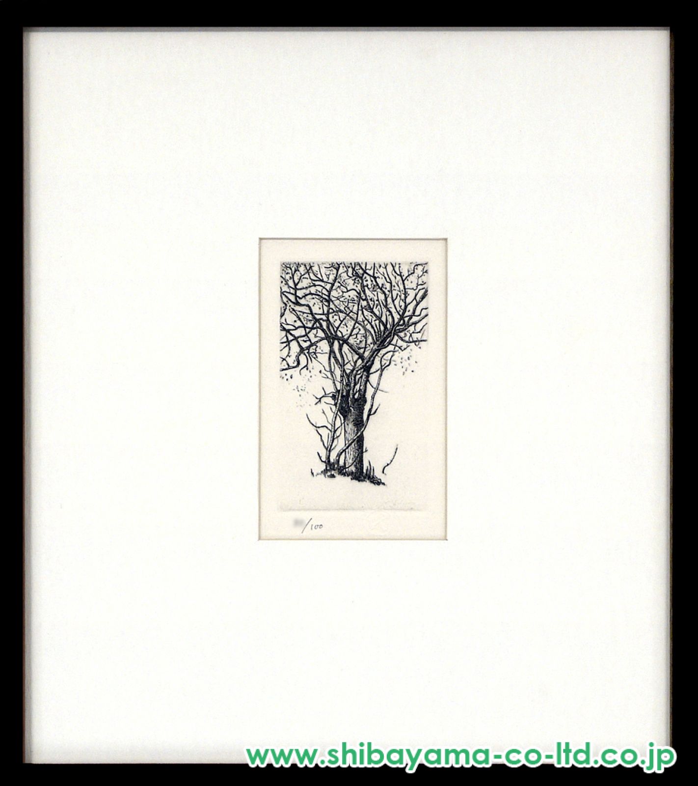 駒井哲郎「樹木」銅版画 直筆サイン入り エッチング 現代版画 限定20部 駒井哲郎「樹」エッチング（銅版画） 絵画買取・販売の小竹美術