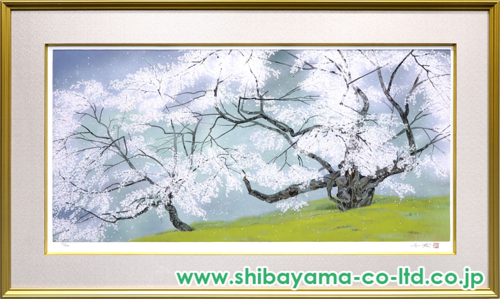 美品！中島千波 岩絵具方式複製画 シルクスクリーン　山高神代桜　1000部限定 中島千波 『千歳櫻』 岩絵具方式 複製日本画 絵画 桜 春 名画