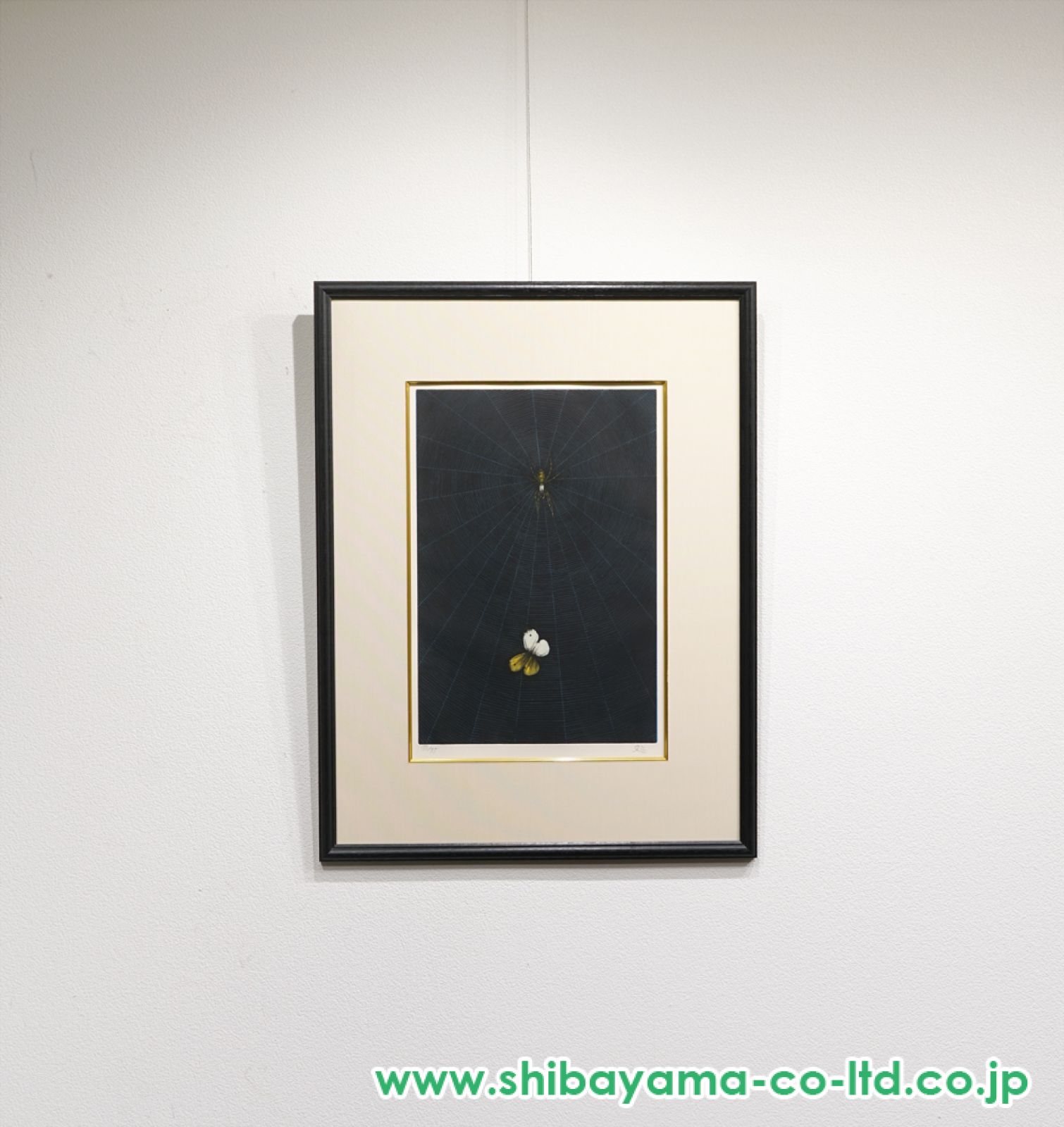 加山 又造、蜘蛛と蝶、希少画集画、新品額装、状態良好 加山又造「蜘蛛と蝶」エッチング＋メゾチント＋アクアチント