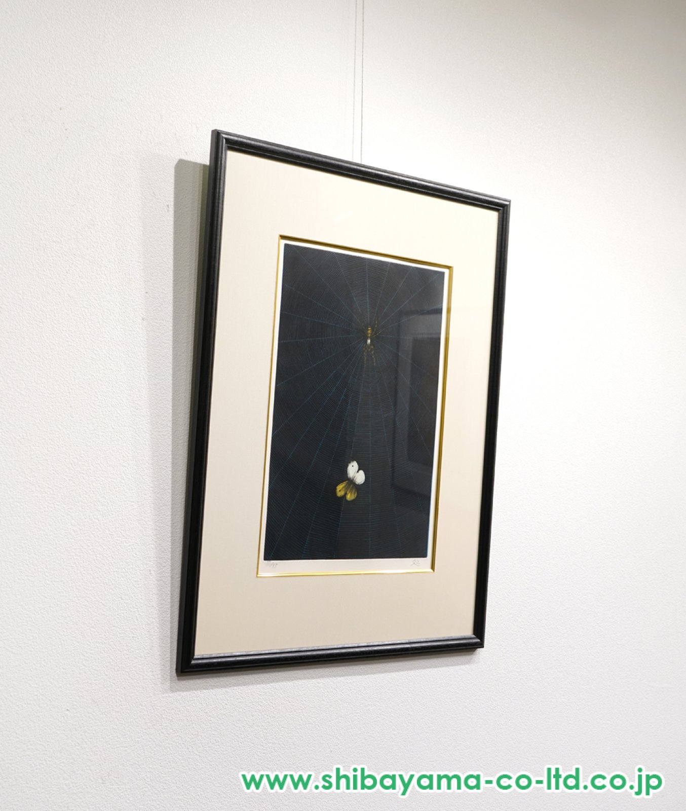 加山又造 蝶 動物画 昆虫 クモ 作家直筆サイン 日本画 版画 絵画 真作保証 加山又造「蜘蛛と蝶」エッチング＋メゾチント＋アクアチント