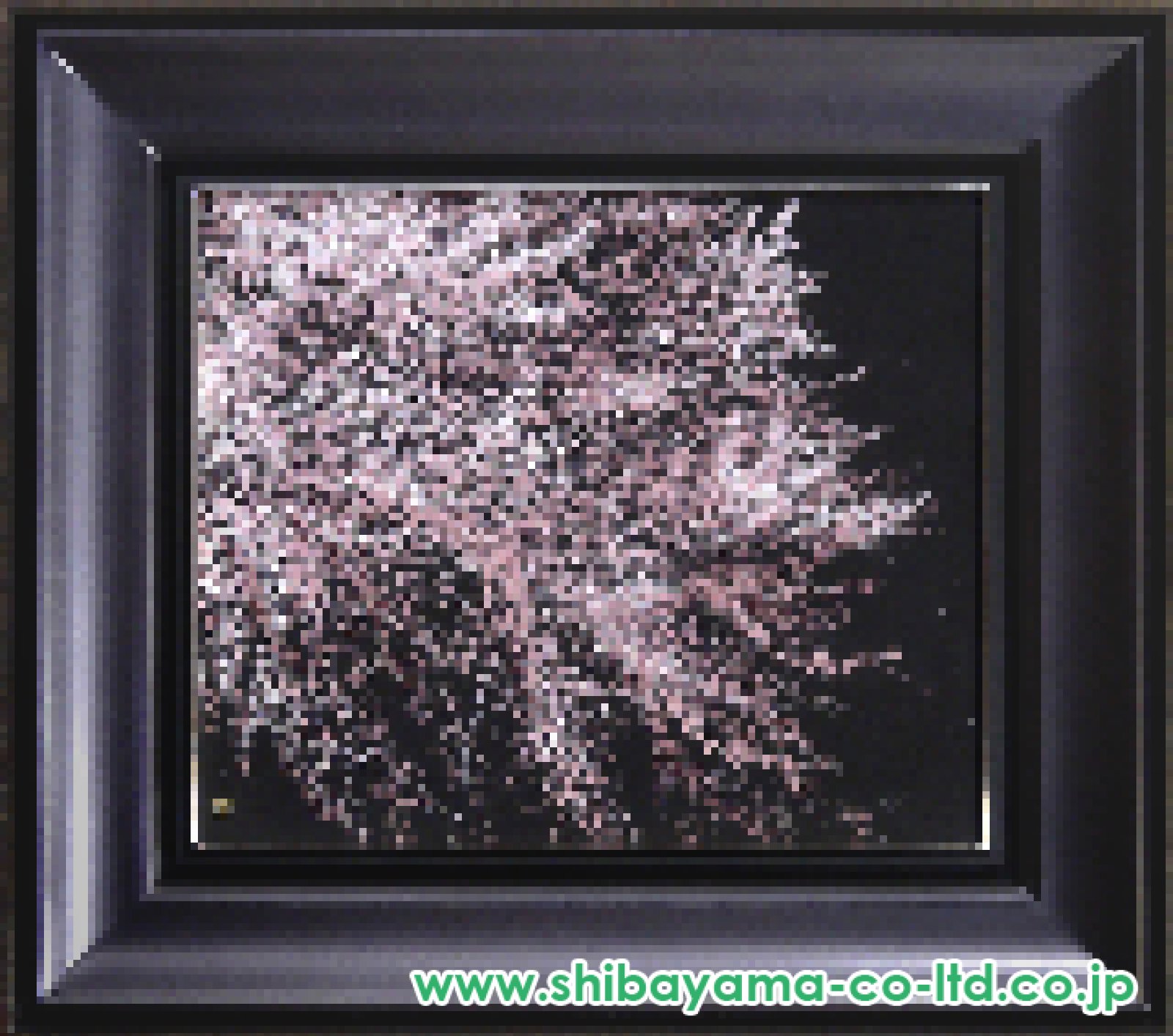 千住博「夜の桜」日本画 8号 :: 絵画買取・販売 - シバヤマ
