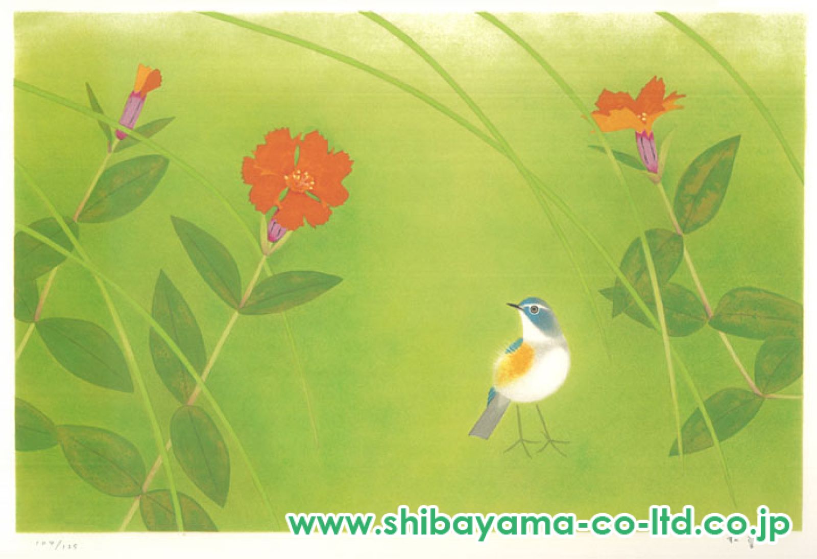 上村松篁 【花鳥】 リトグラフ 保証書有り 上村松篁 【花鳥】 リトグラフ 保証書有り - メルカリ