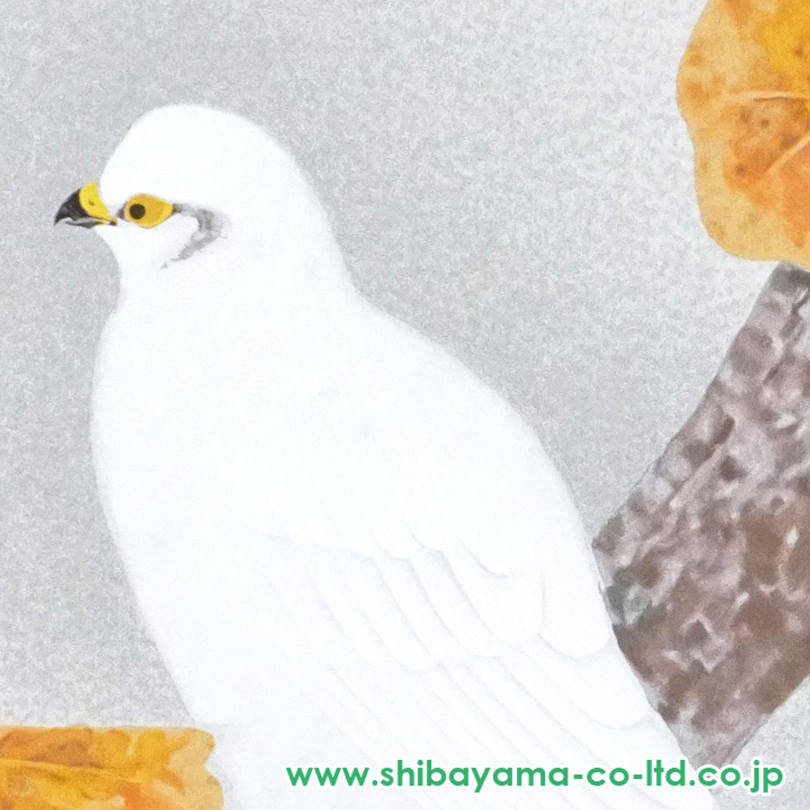 上村淳之「白鷹」シルクスクリーン :: 絵画買取・販売 - シバヤマ