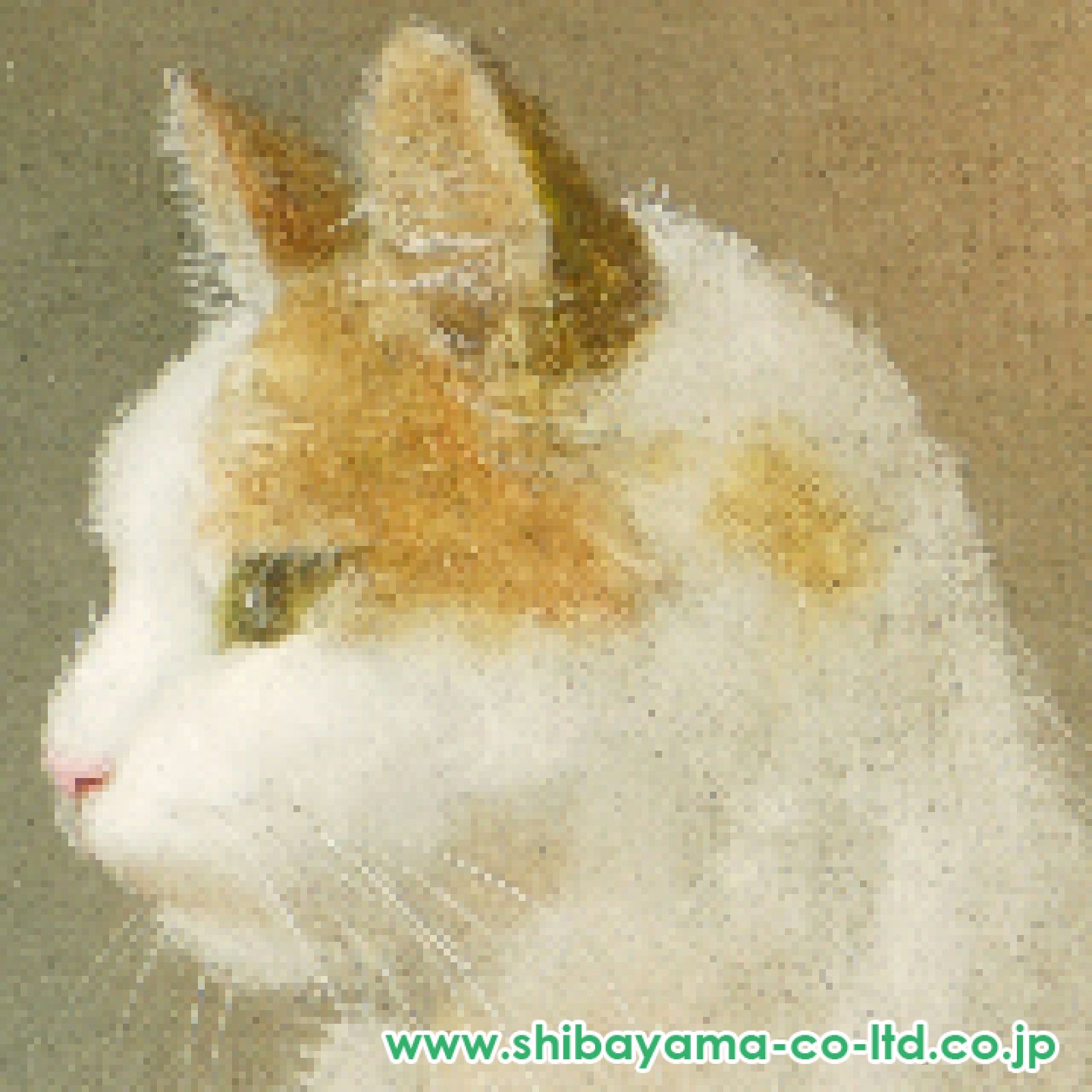 藤井勉「猫」油彩 0号 :: 絵画買取・販売 - シバヤマ