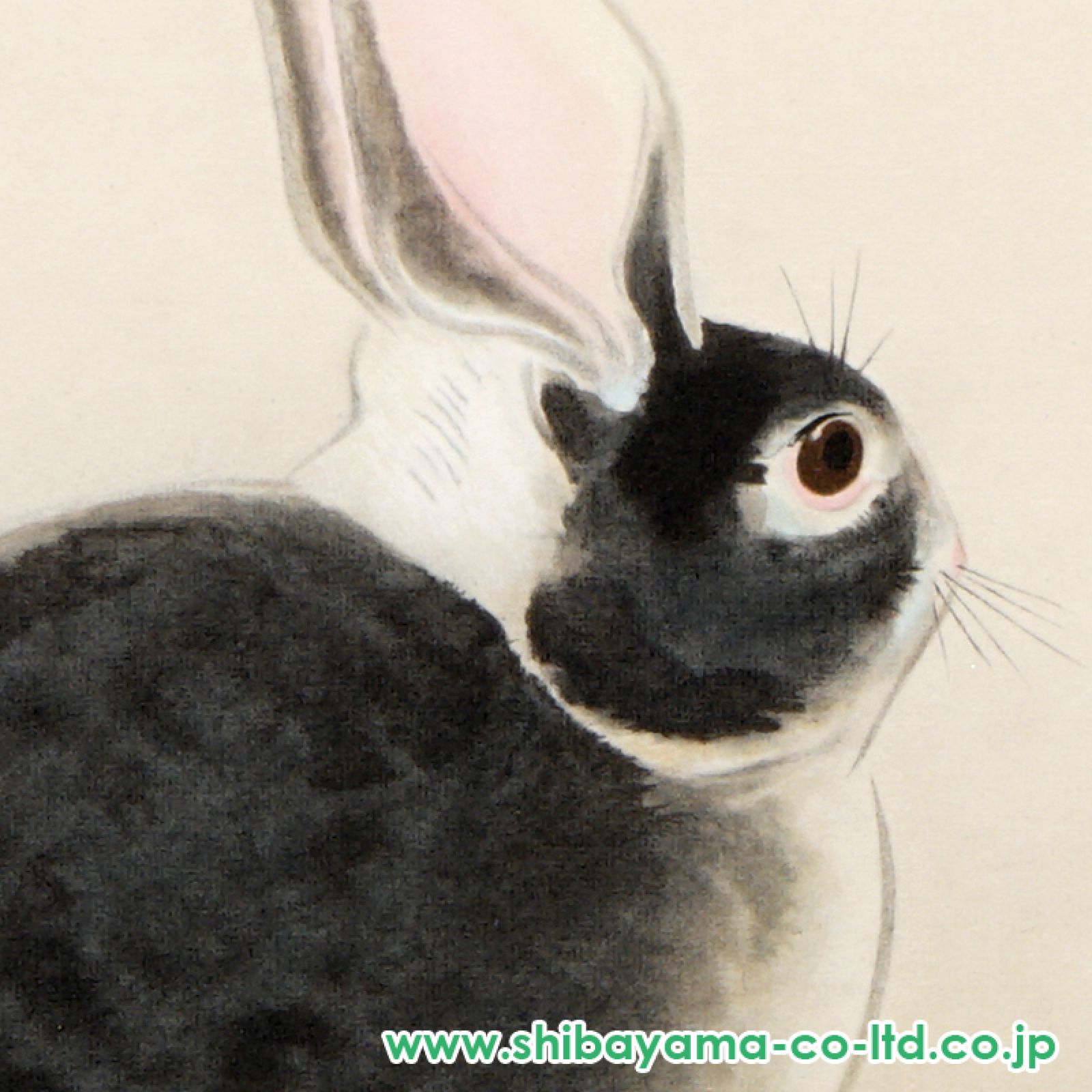 奥村土牛「兎」リトグラフ :: 絵画買取・販売 - シバヤマ