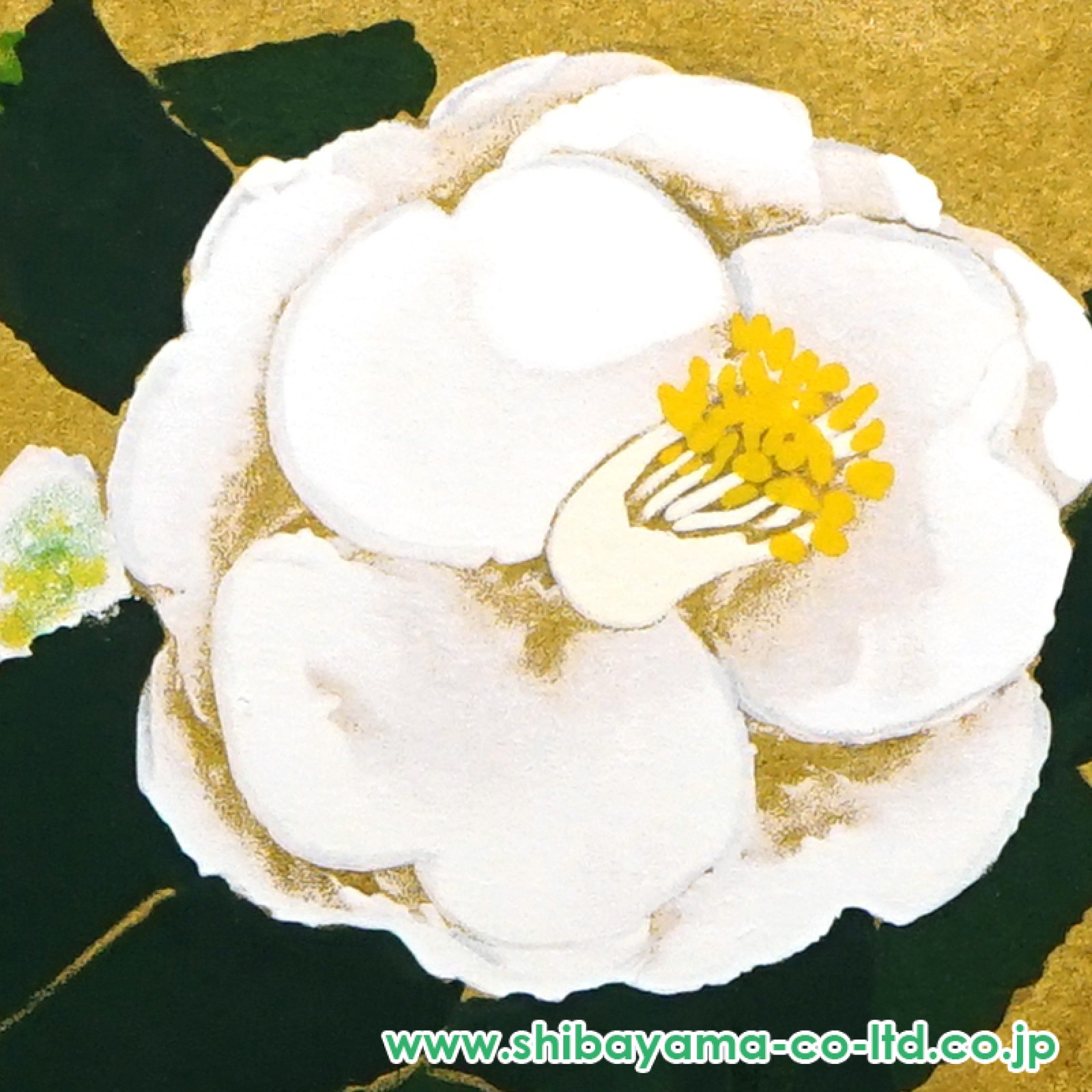 セリグラフ 小倉遊亀 白椿と壺 NO670 小倉遊亀「白椿と壷」セリグラフ :: 絵画買取・販売 - シバヤマ
