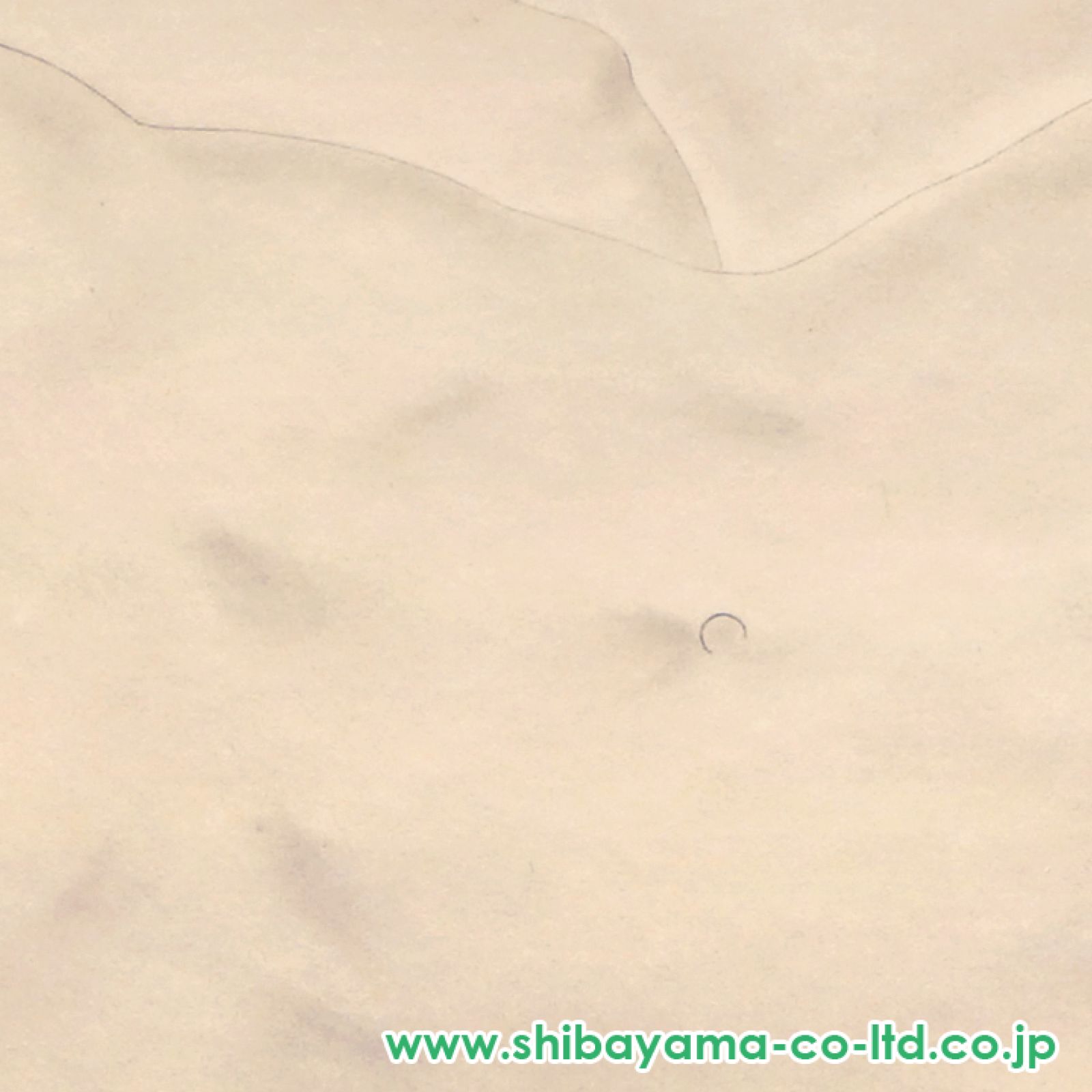 色鉛筆画『ソファに横たわる裸婦(金色のオダリスク) パロディ』美人画・裸婦画 Otherwise Gallery | 本年も、現代美術のアートフェア @artosaka