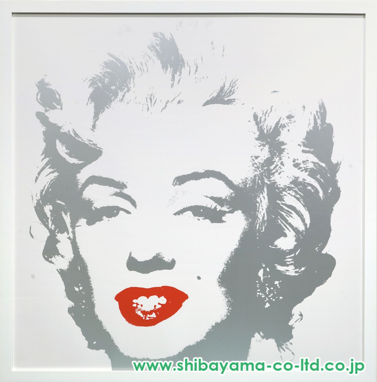 希少　絵画　額装　超大判　アントン・シボス　シルクスクリーン　ユリの季節　美品 agmotokawa_ikegamisoho-botann