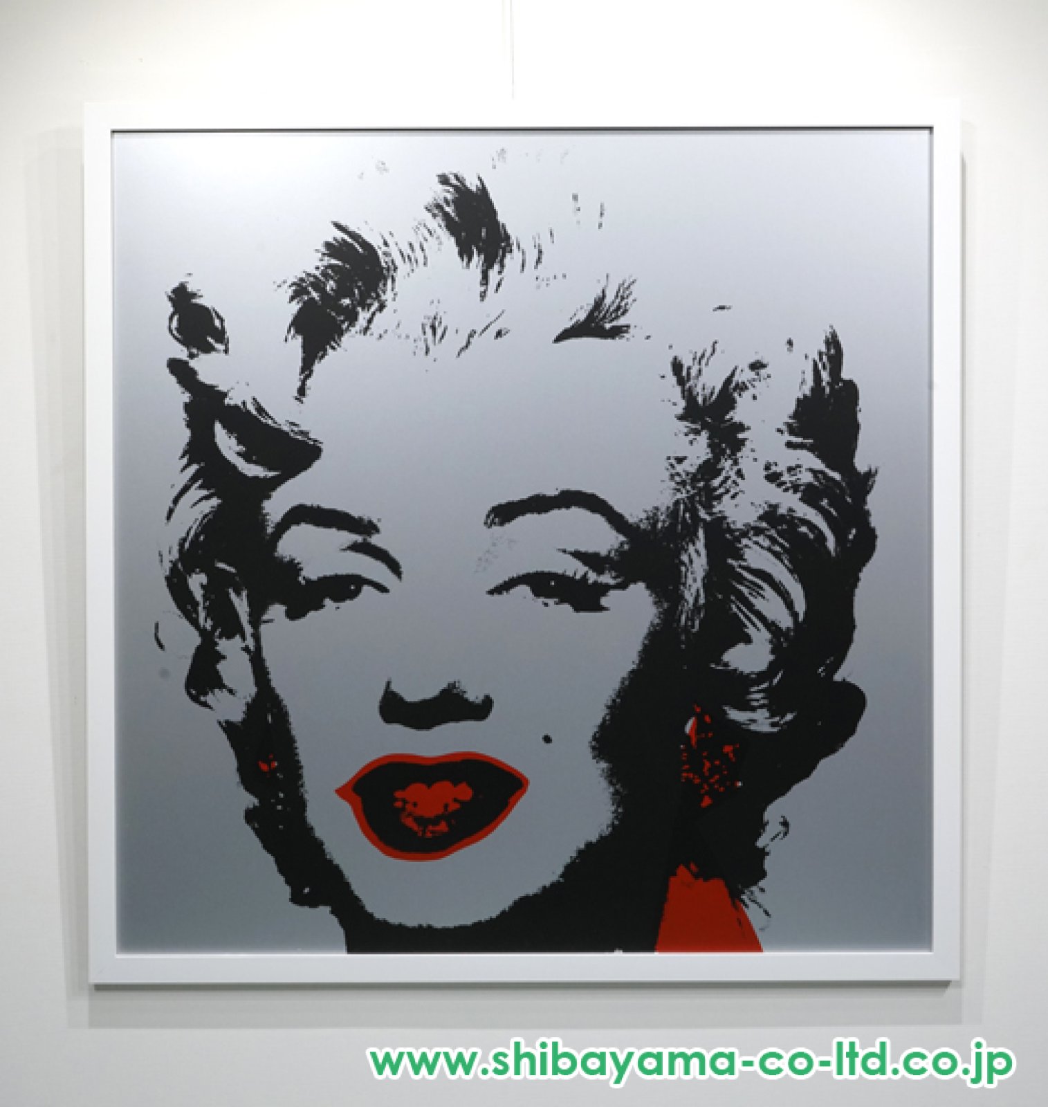 15270_2700e713770bc19f657e69d9