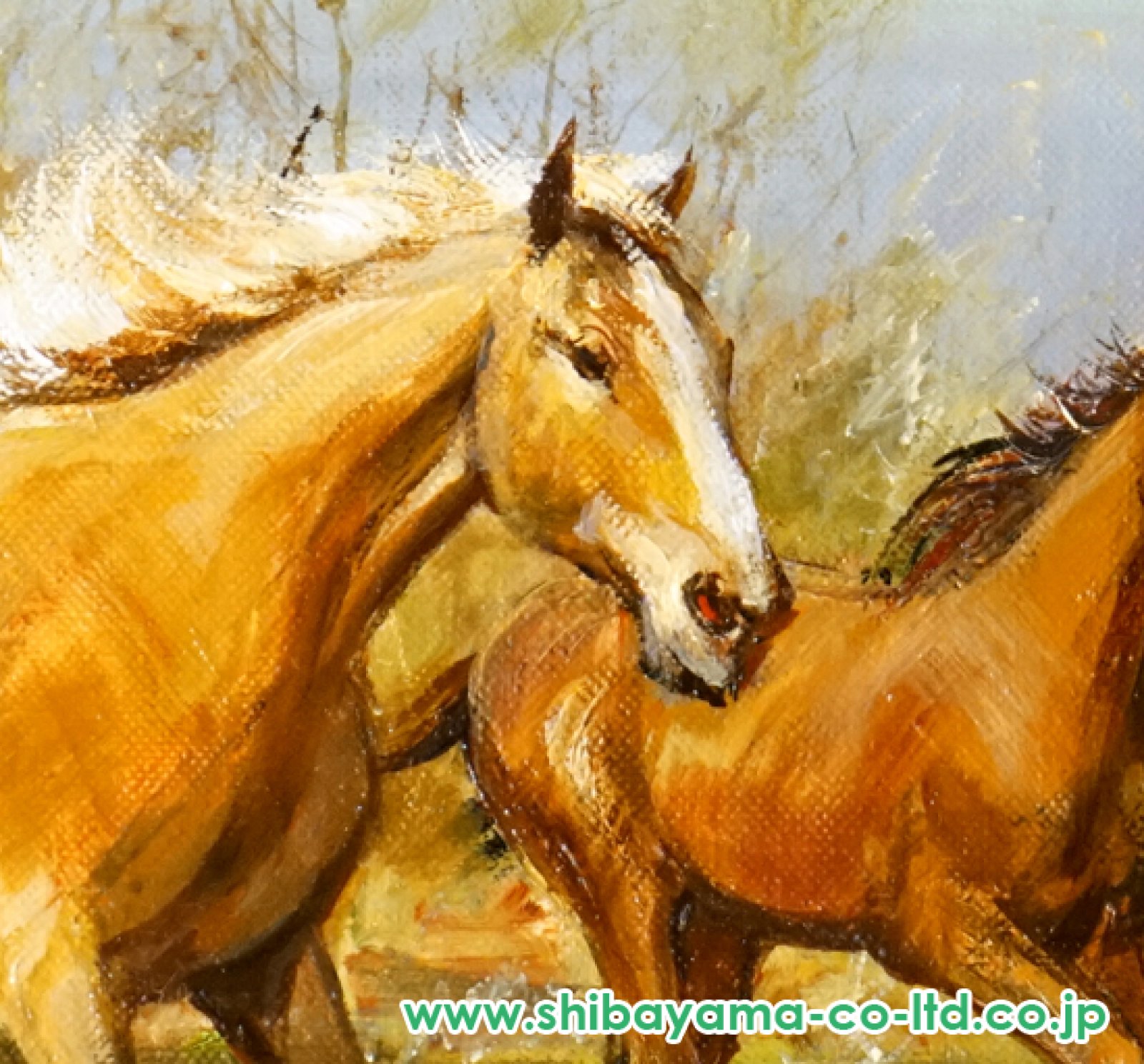 中畑艸人 馬 さつき 油彩3号 動物画 梅田画廊取扱 原画 油絵 絵画 真作保証 中畑艸人 馬 さつき 油彩3号 動物画 梅田画廊取扱 原画 油絵