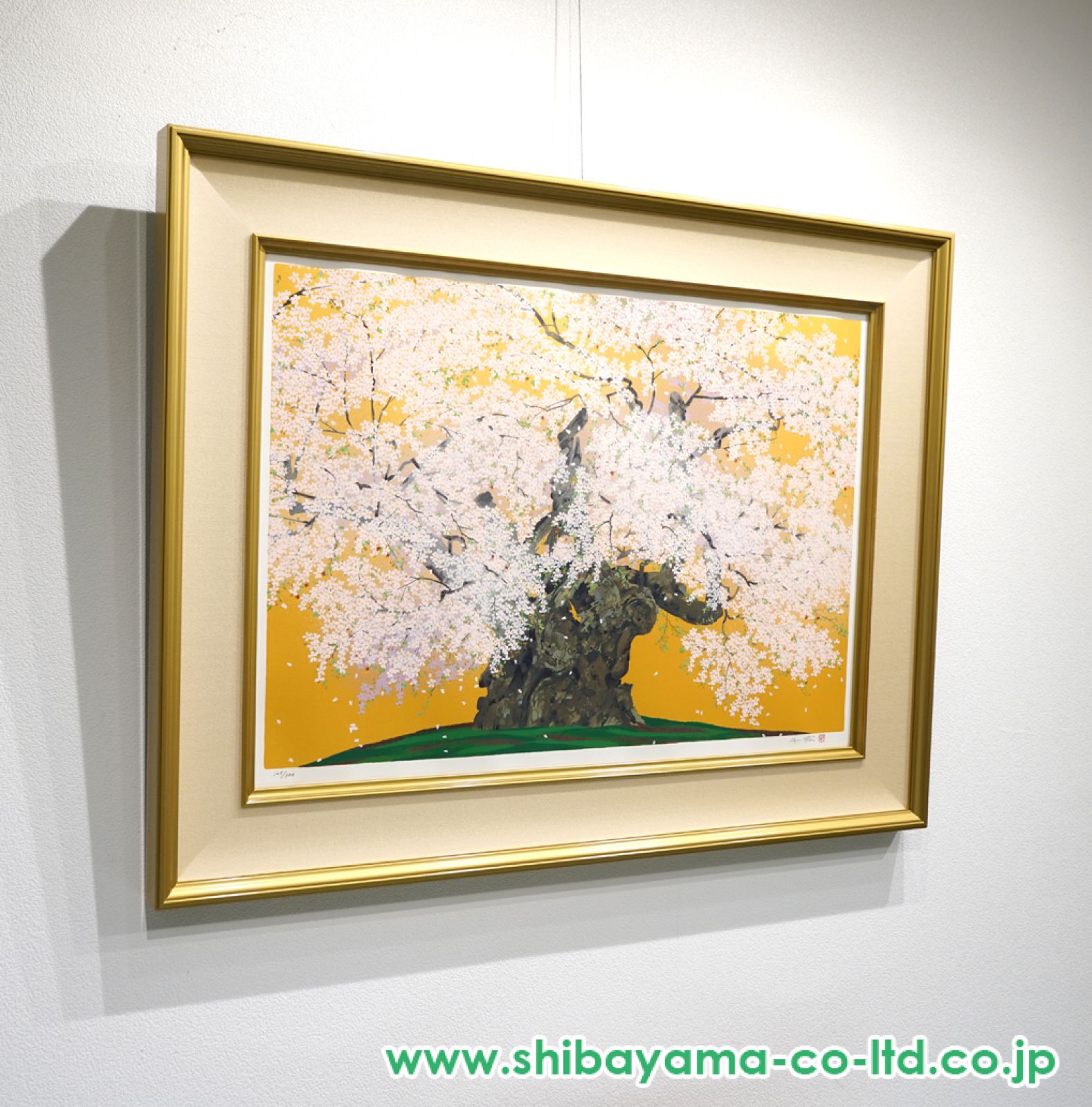 中島千波　「山高神代桜」　岩絵具方式複製画　作品証明シール有り 15693_df02ea19ddc60f6b0c1c9446