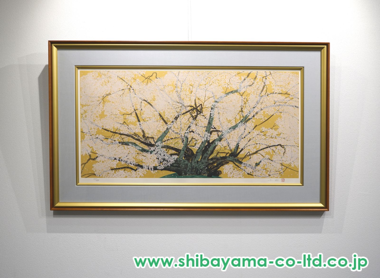 中島千波 【素桜神社の神代櫻】 岩絵具方式複製画 中島千波「素桜神社の神代櫻」岩絵具方式複製画 絵画買取・販売