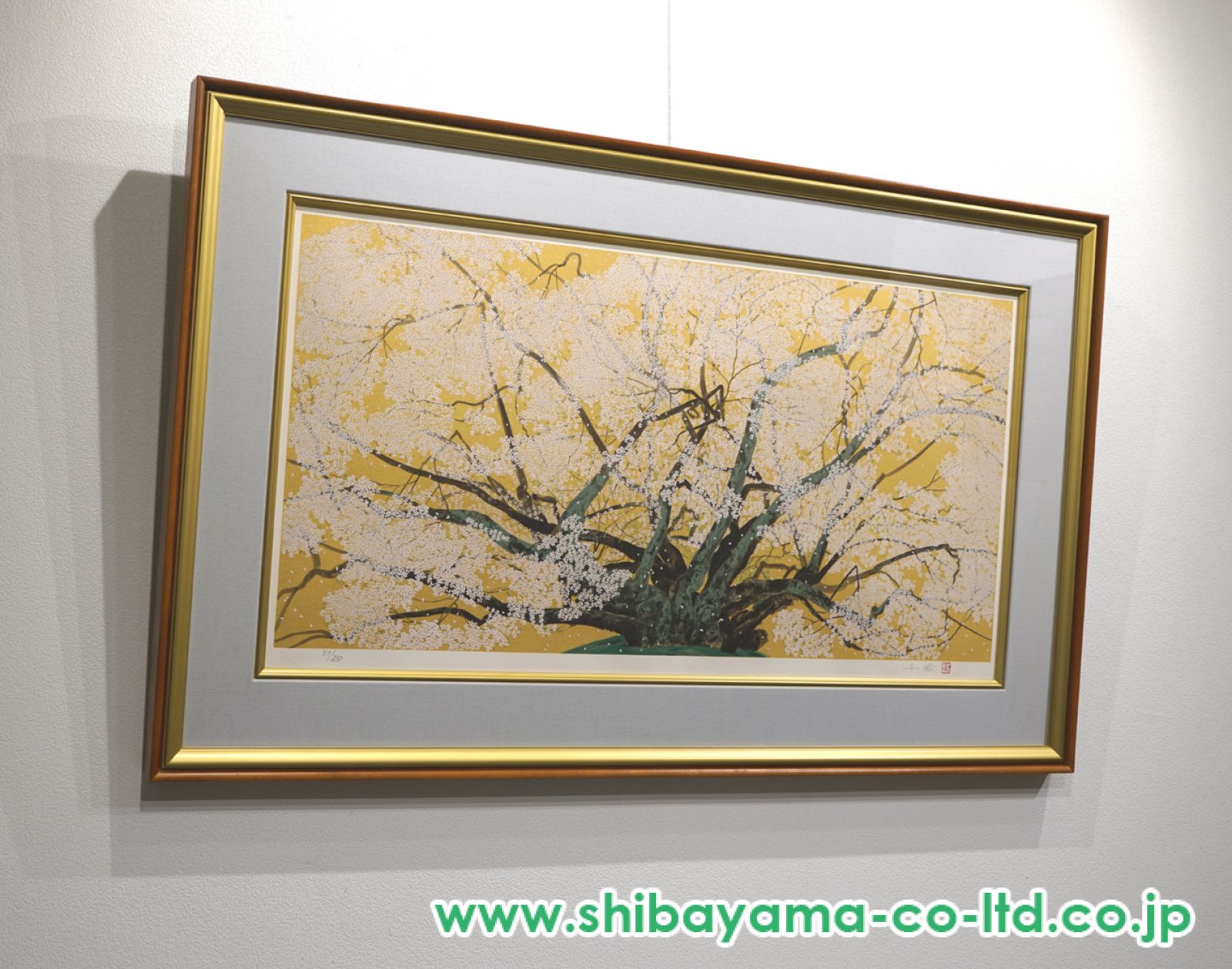 中島千波「素櫻神社の神代櫻」リトグラフ :: 絵画買取・販売
