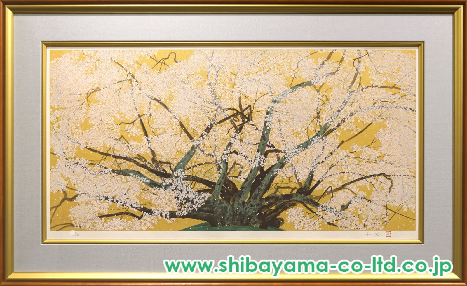 中島千波「素櫻神社の神代櫻」リトグラフ :: 絵画買取・販売