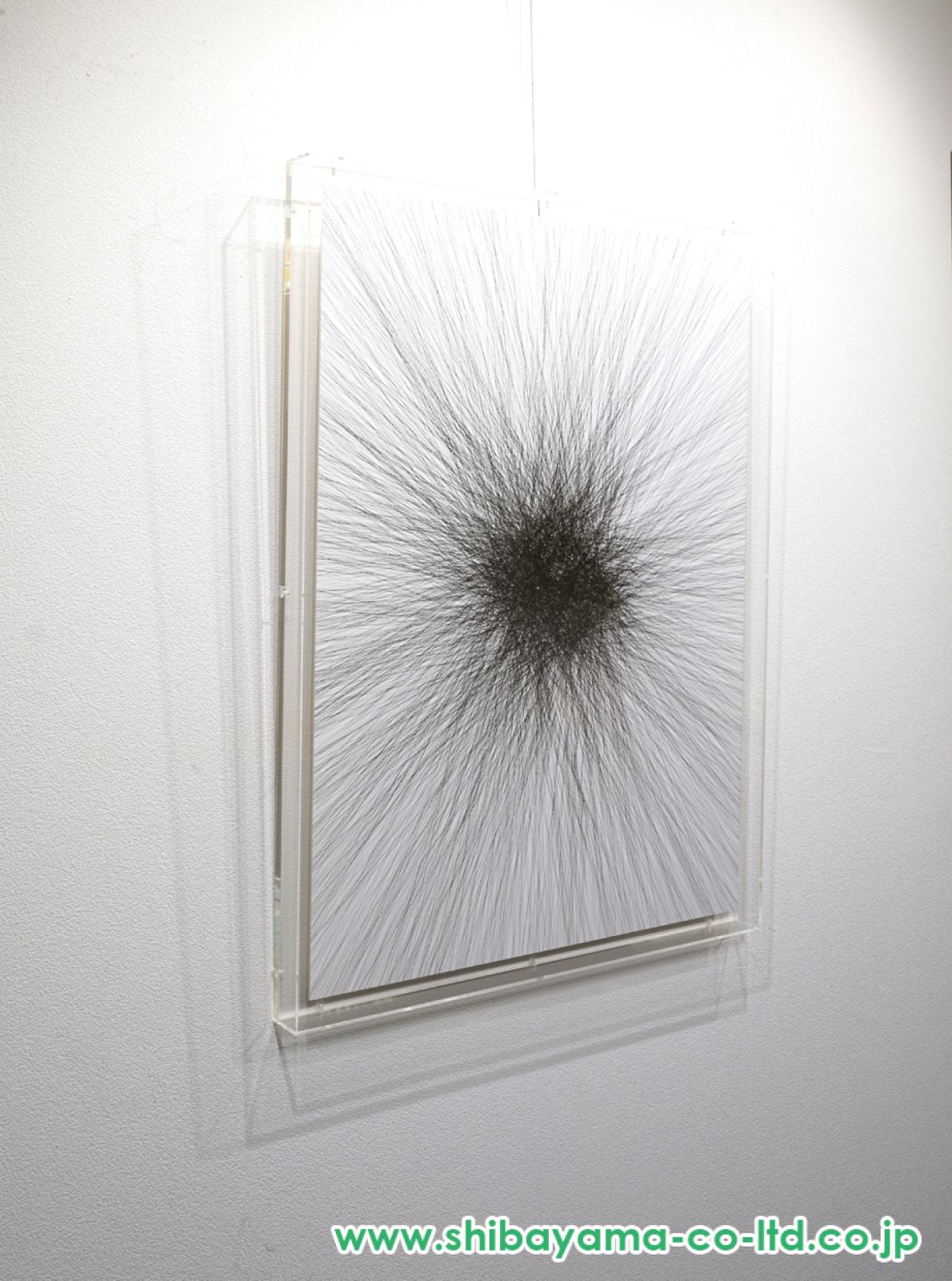 名和晃平「Line-Random-K-1」シルクスクリーン :: 絵画買取