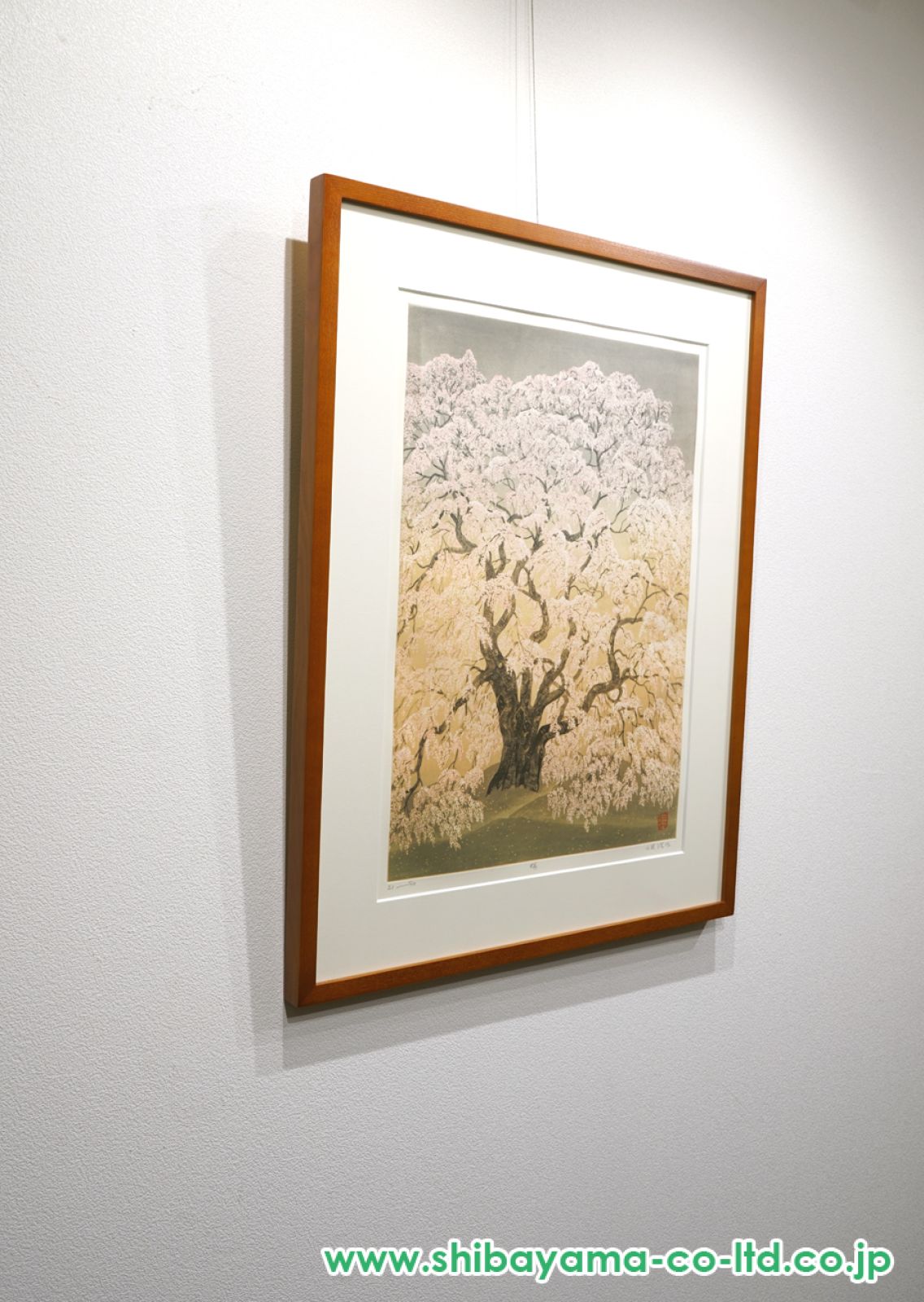 小泉淳作「桜」エッチング :: 絵画買取・販売 - シバヤマ