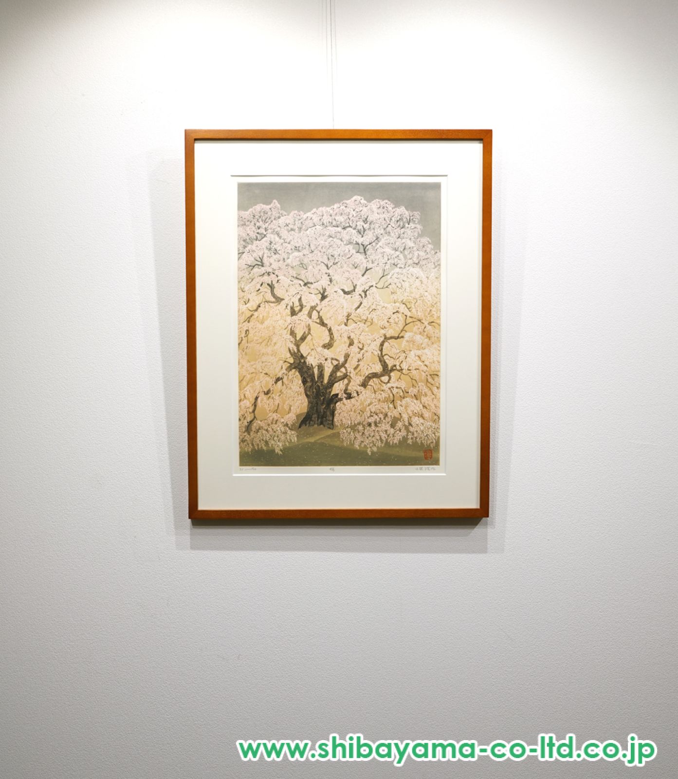 小泉淳作「桜」エッチング :: 絵画買取・販売 - シバヤマ