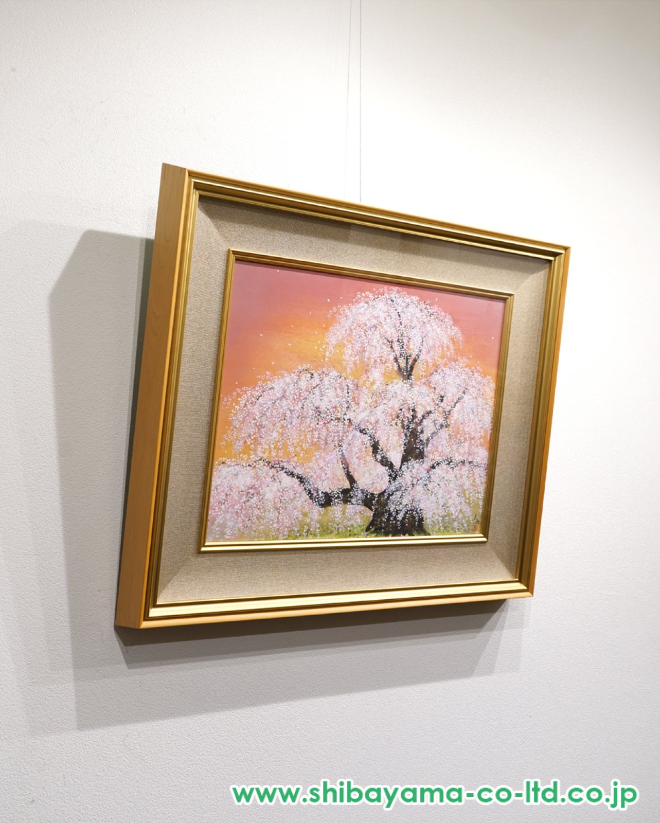 木村圭吾「爛漫滝桜」日本画 P10号 :: 絵画買取・販売 - シバヤマ