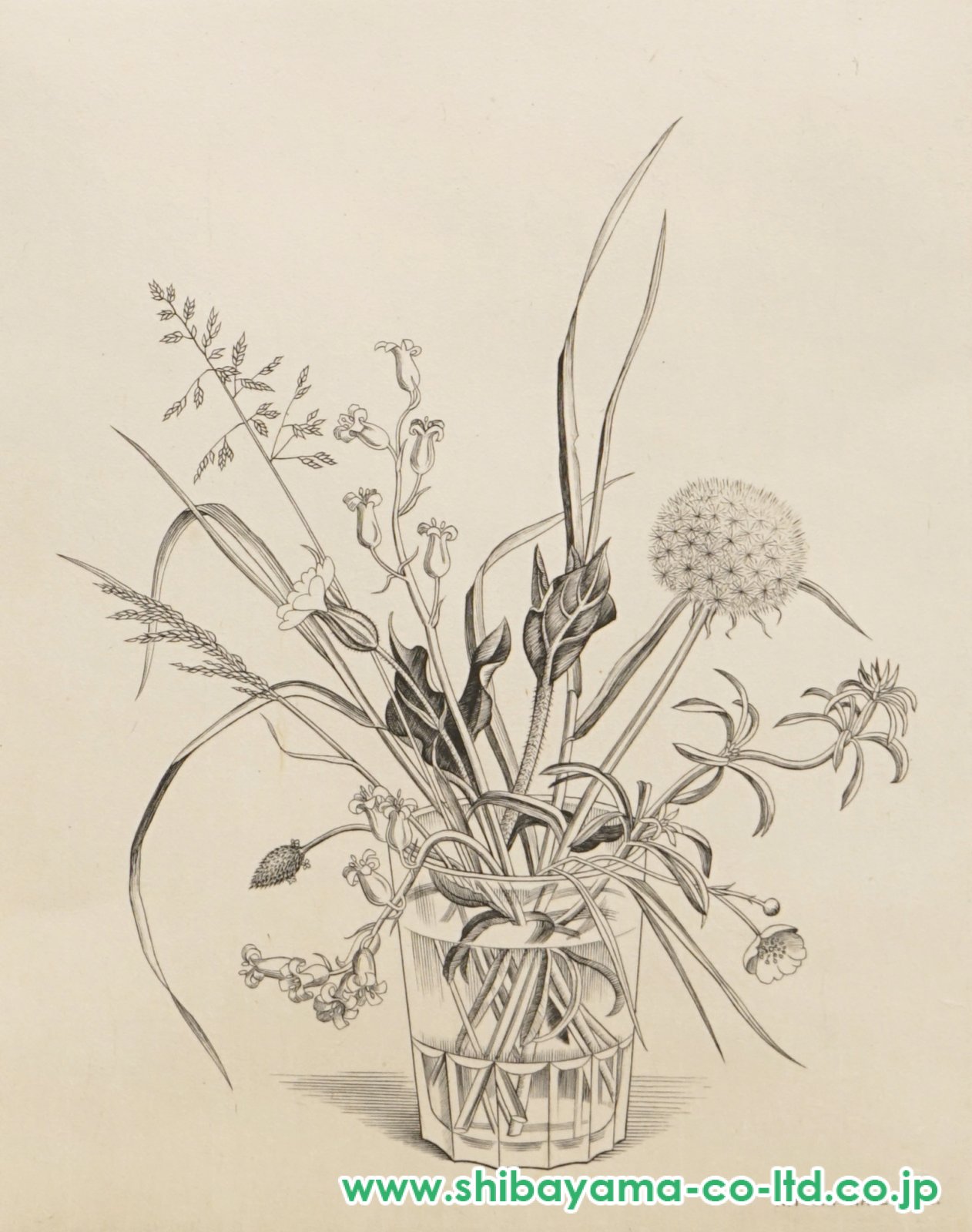 長谷川潔「コップに挿した野花（春）」ビュラン :: 絵画買取