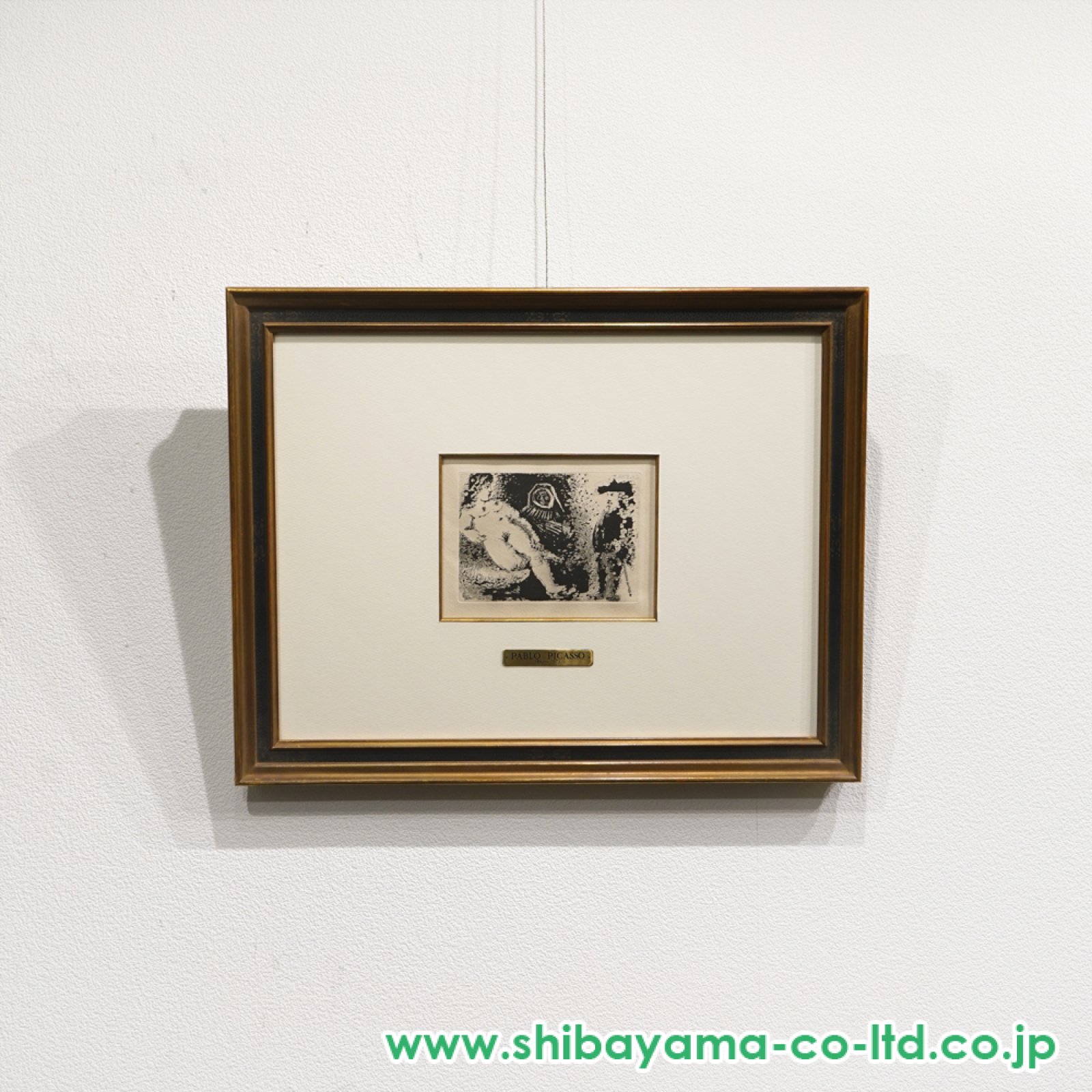 パブロ・ピカソ、【ラ・セレスティーナ】、希少画集画、新品高級額・額装付 パブロ・ピカソ、【ラ・セレスティーナ】、希少画集画、新品高級