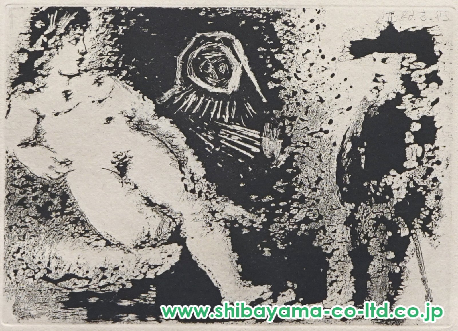 パブロ・ピカソ、【ラ・セレスティーナ】、希少画集画、新品高級額・額装付 パブロ・ピカソ、【ラ・セレスティーナ】、希少画集画、新品高級