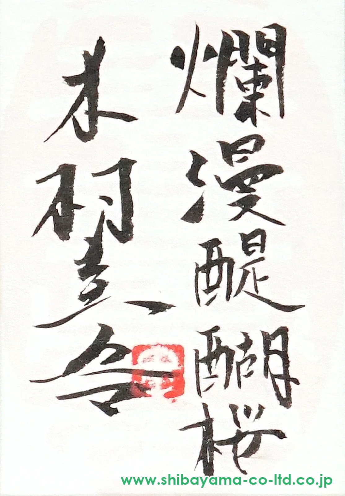 木村圭吾「爛漫醍醐桜」日本画 6号スクエア :: 絵画買取・販売 - シバヤマ