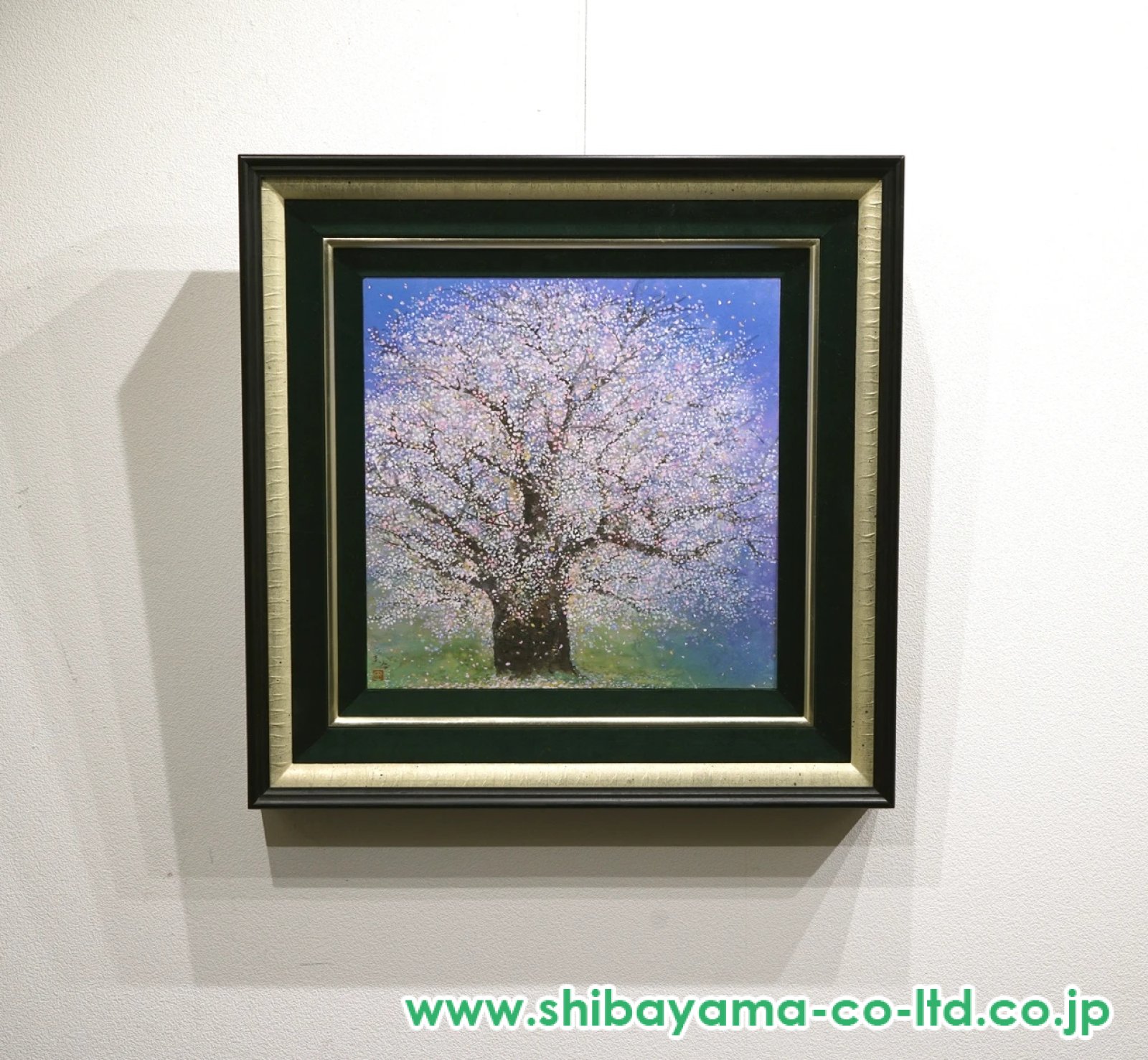 木村圭吾「爛漫醍醐桜」日本画 6号スクエア :: 絵画買取・販売 - シバヤマ