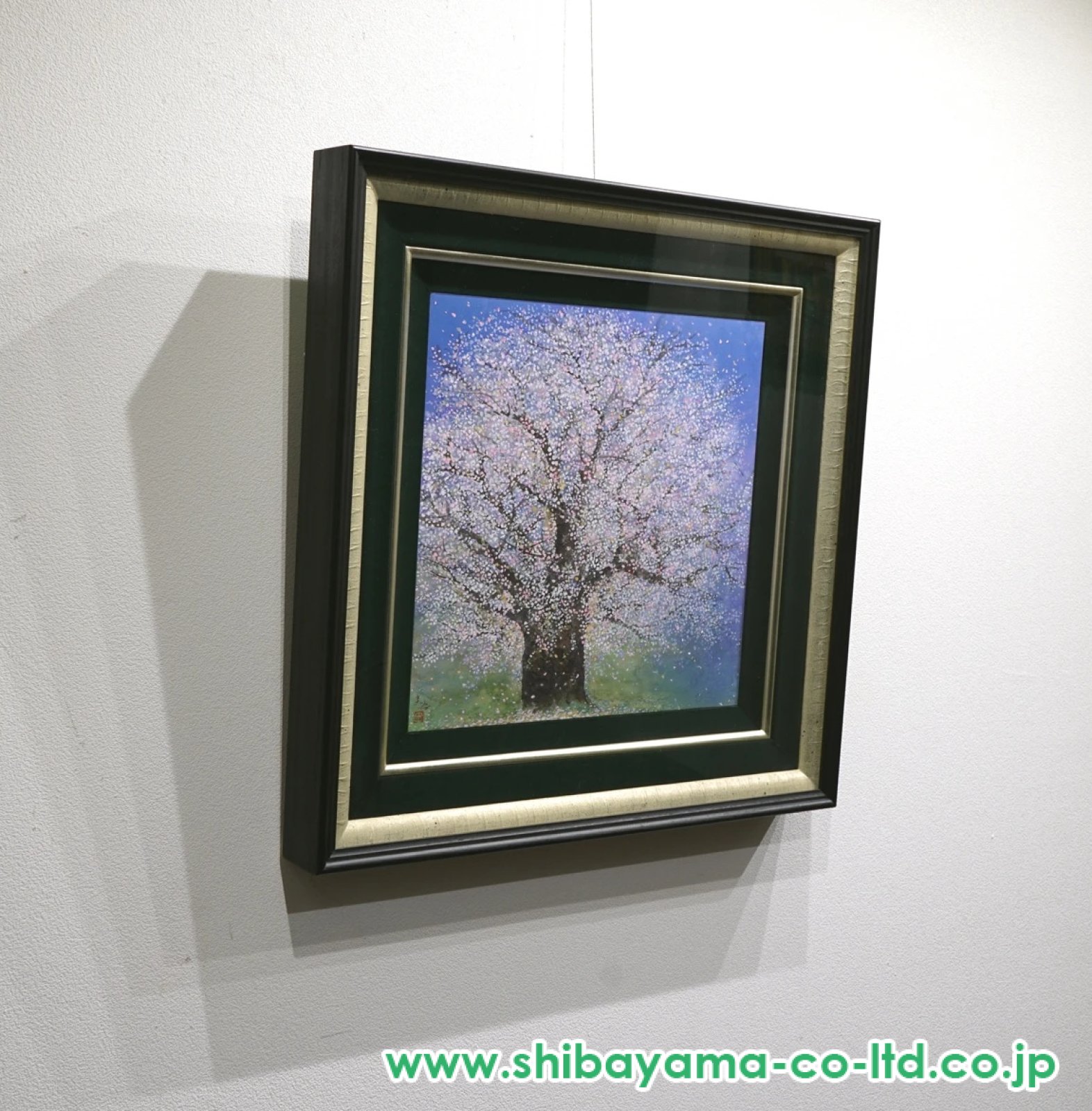木村圭吾「爛漫醍醐桜」日本画 6号スクエア :: 絵画買取・販売 - シバヤマ