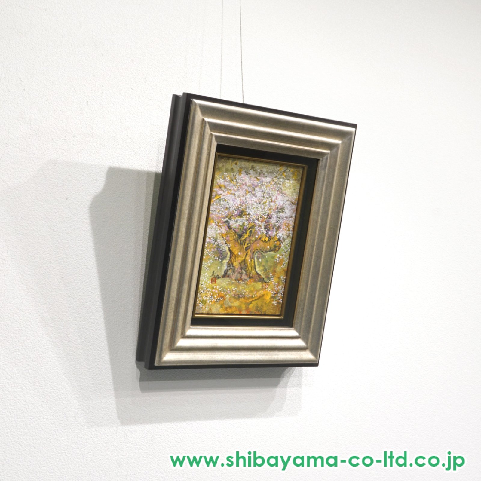 木村圭吾『春爛漫』色紙 木村圭吾「爛漫淡墨桜」日本画 SM :: 絵画買取・販売 - シバヤマ