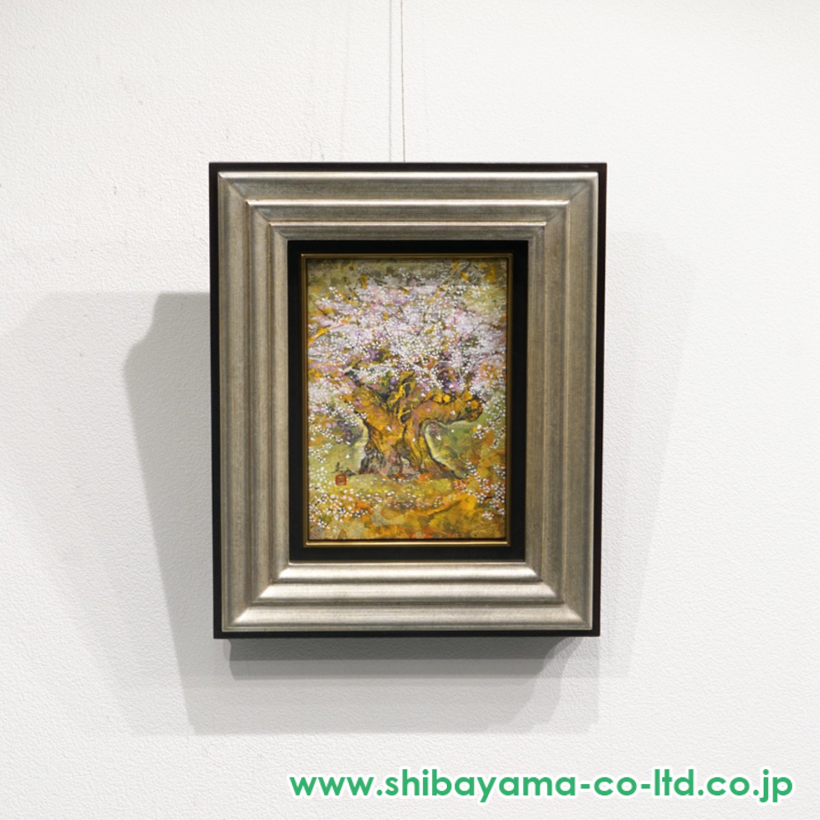 木村圭吾「爛漫淡墨桜」日本画 SM :: 絵画買取・販売 - シバヤマ