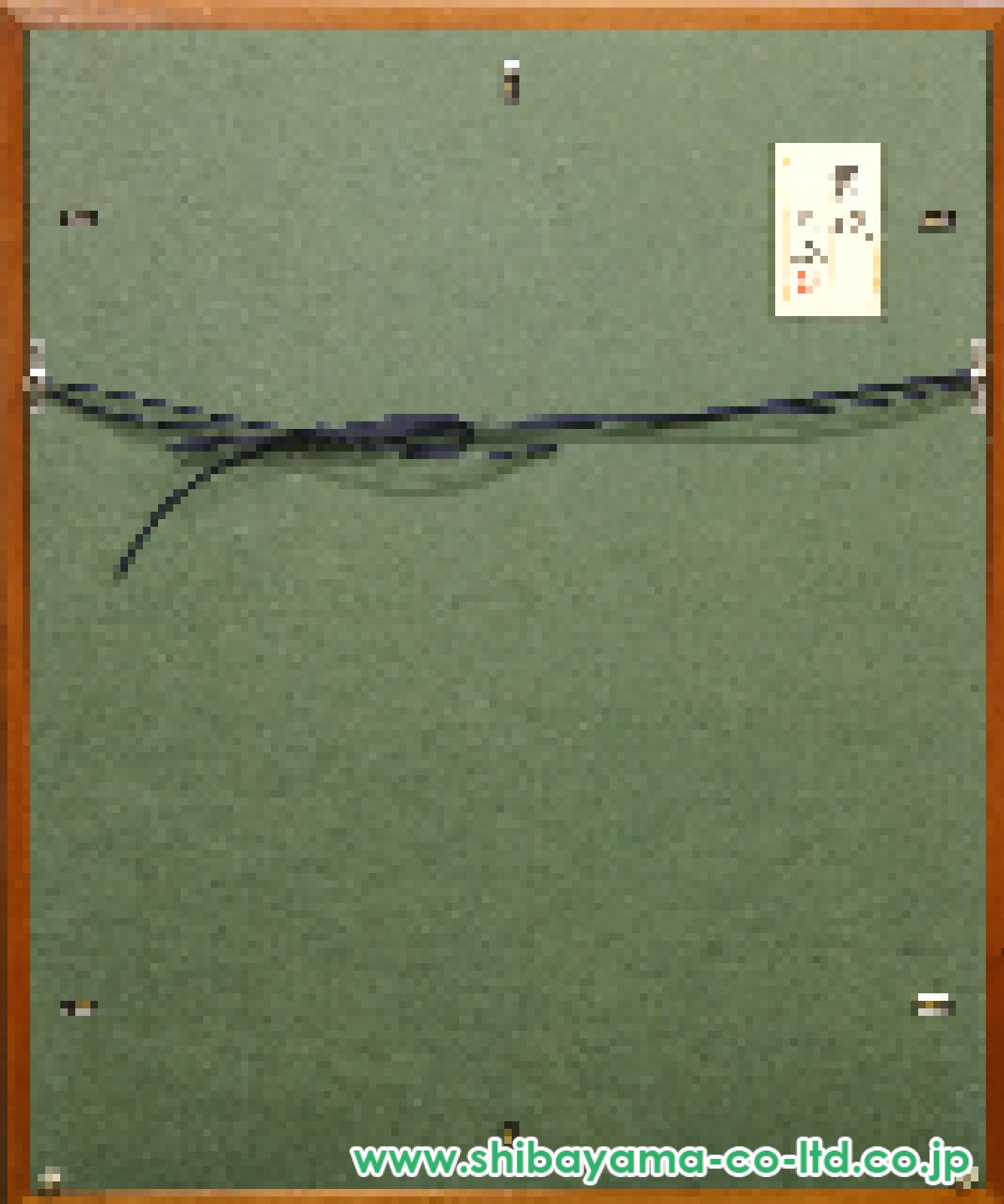 ★元青龍社審査員 日本画家 渡会伊良子 新雪 10号　★ ☆元青龍社審査員 日本画家 渡会伊良子 新雪 10号 ☆