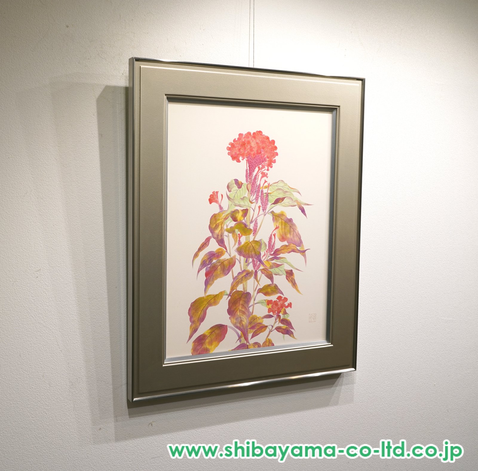 絵画 1S150-5 Amazon | 富士山と桜が引き立て合う 数字キットによる絵画 数字