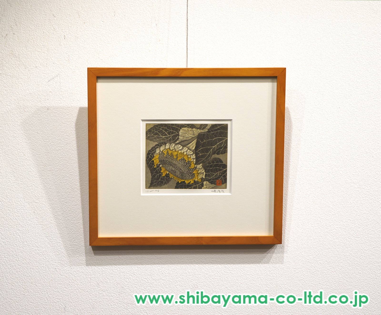 小泉淳作「ひまわりの実」エッチング :: 絵画買取・販売 - シバヤマ