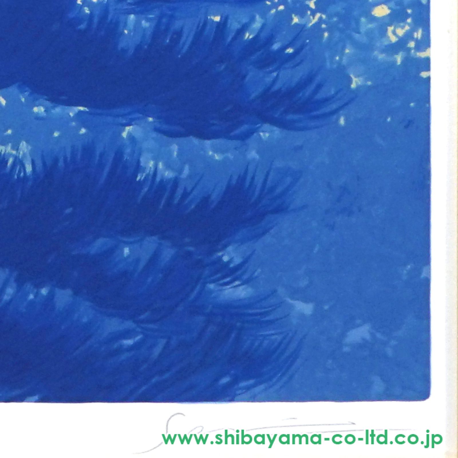 こ*う様 ラッセン　THE COSMOS コスモス　版画　絵画　シルクスクリーン こ*う様 ラッセン THE COSMOS コスモス 版画 絵画 シルク