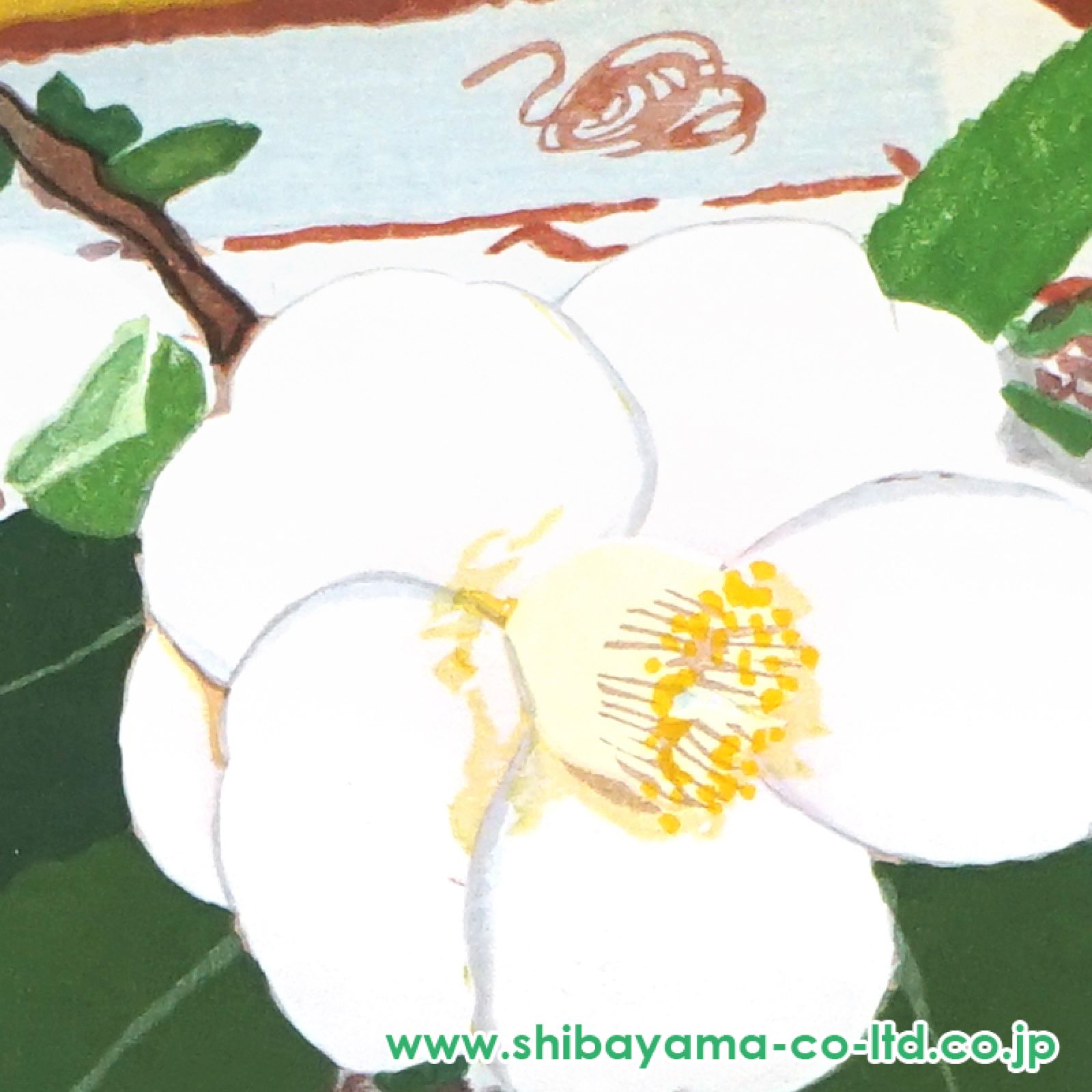 小倉遊亀 【白い椿】 木版画 小倉遊亀「白い椿」木版画 :: 絵画買取・販売 - シバヤマ