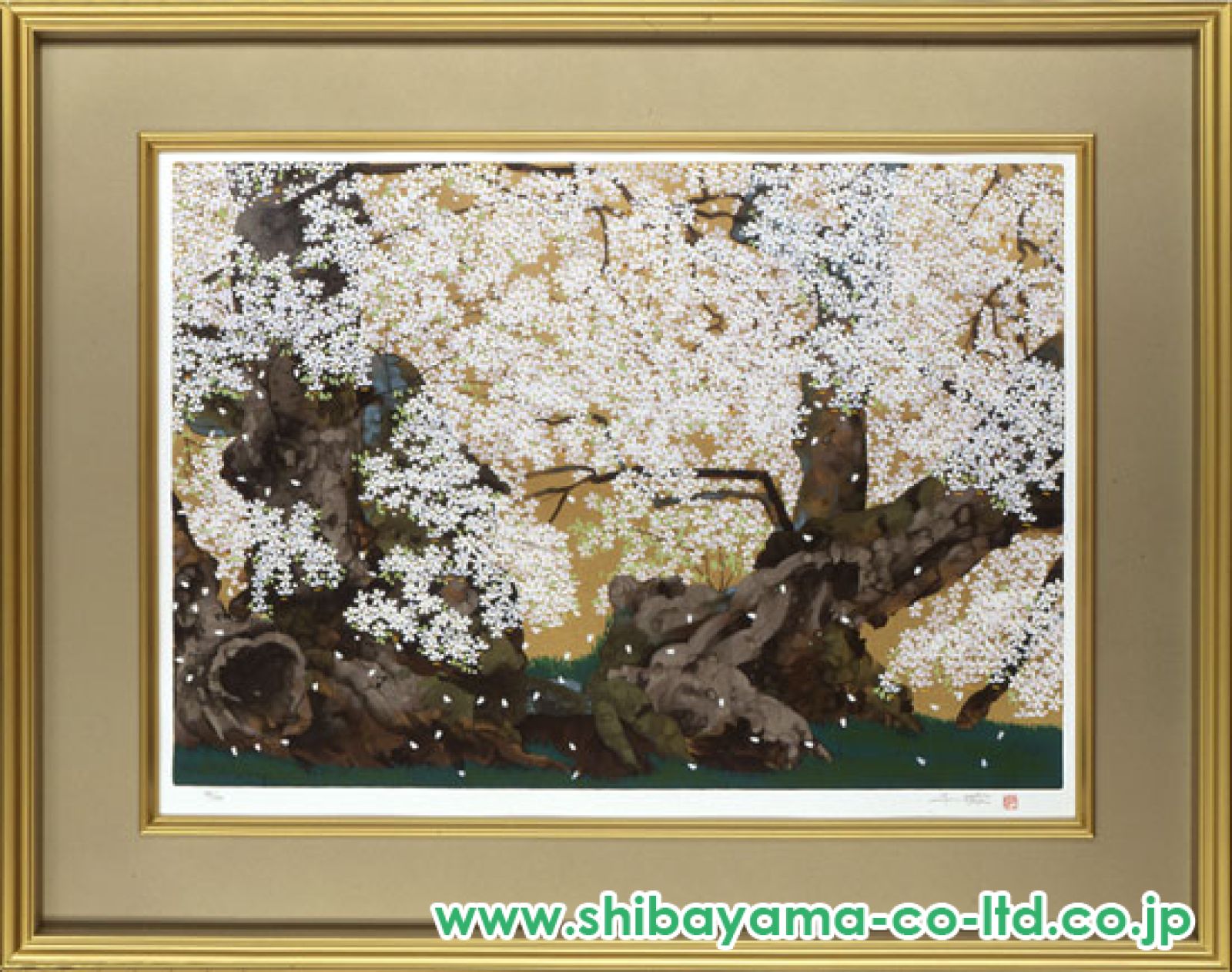 中島千波「常照皇寺の九重桜」リトグラフ(石版画) 中島千波『 常照皇寺の九重桜（じょうしょうこうじのここのえ