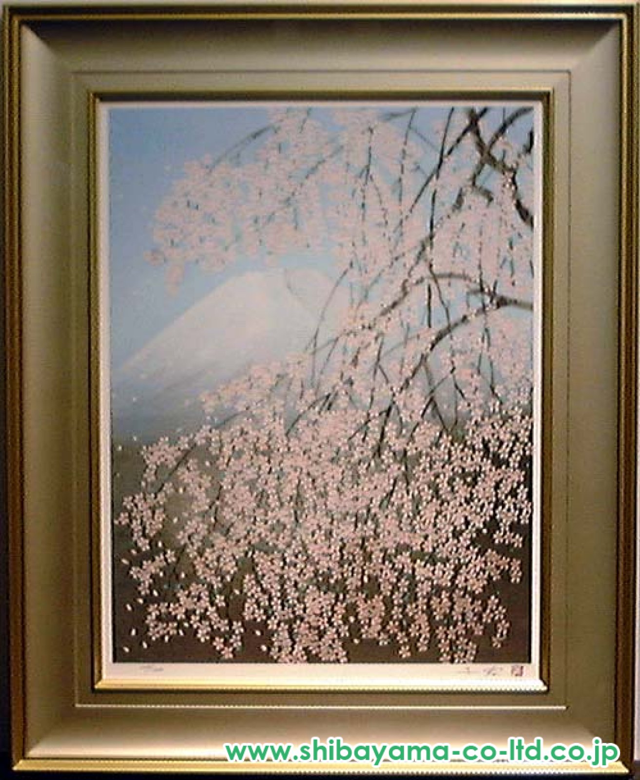 中島千波　「千歲櫻」 楽天市場】中島千波 「 千歳櫻 」 岩絵具方式 複製 日本画