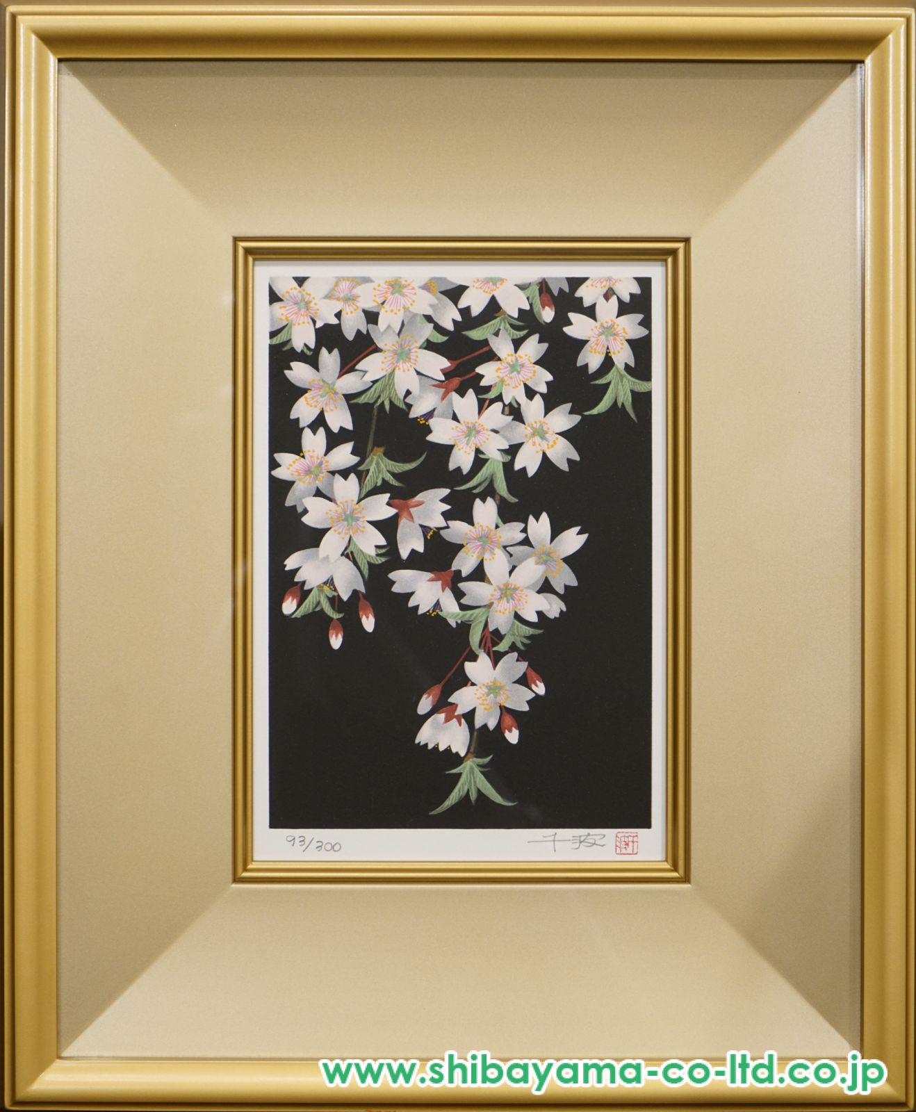 中島千波「枝垂れ夜桜」リトグラフ :: 絵画買取・販売 - シバヤマ
