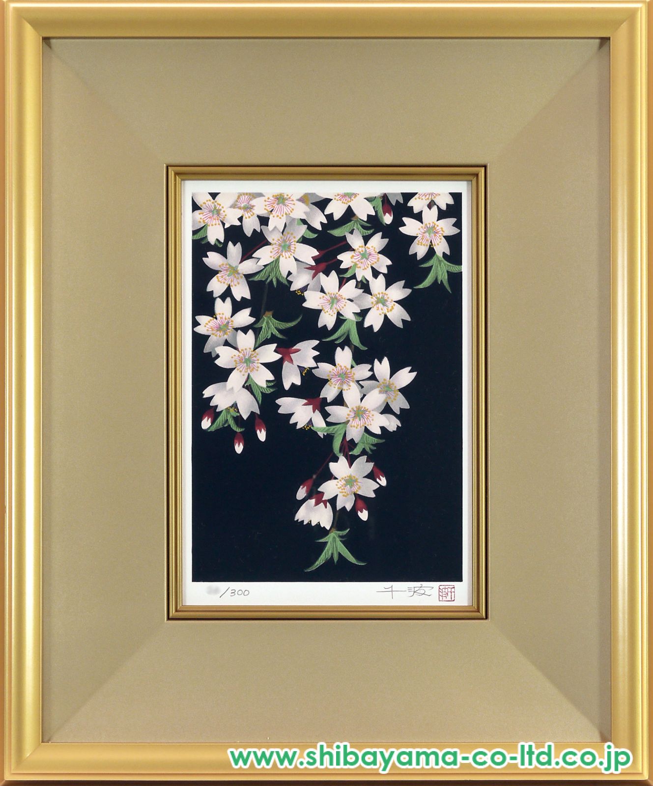 中島千波「枝垂れ夜桜」リトグラフ :: 絵画買取・販売 - シバヤマ