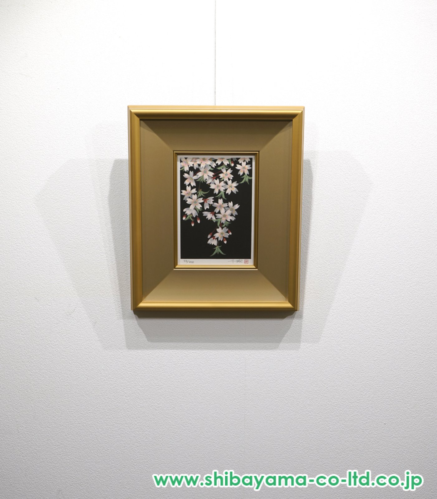 中島千波「枝垂れ夜桜」リトグラフ :: 絵画買取・販売 - シバヤマ