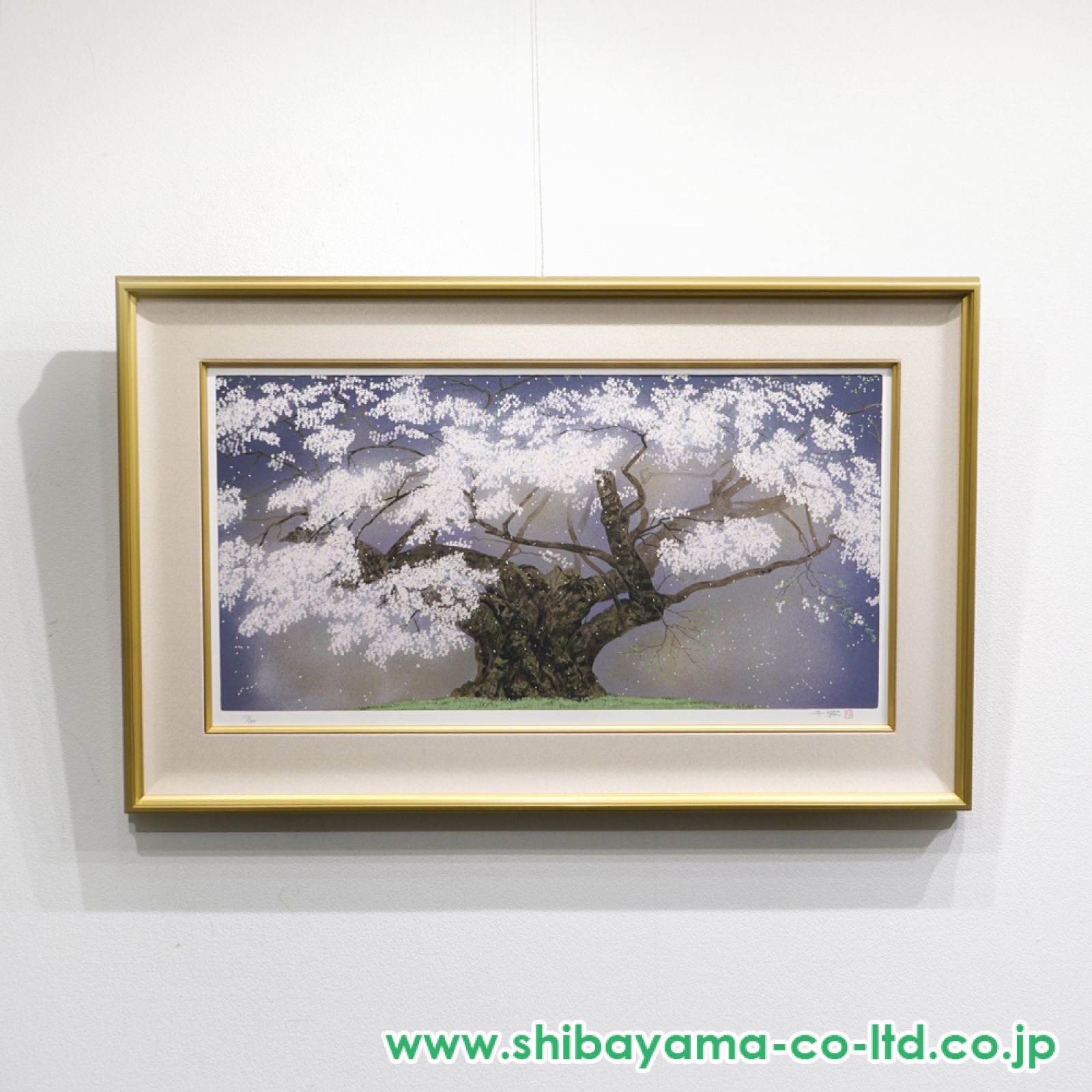a*1様 【真作】中島千波「樹霊淡墨桜」現代巨匠 鑑賞木版画 限定250部 12 中島千波「樹霊淡墨桜」卸売価格で販売