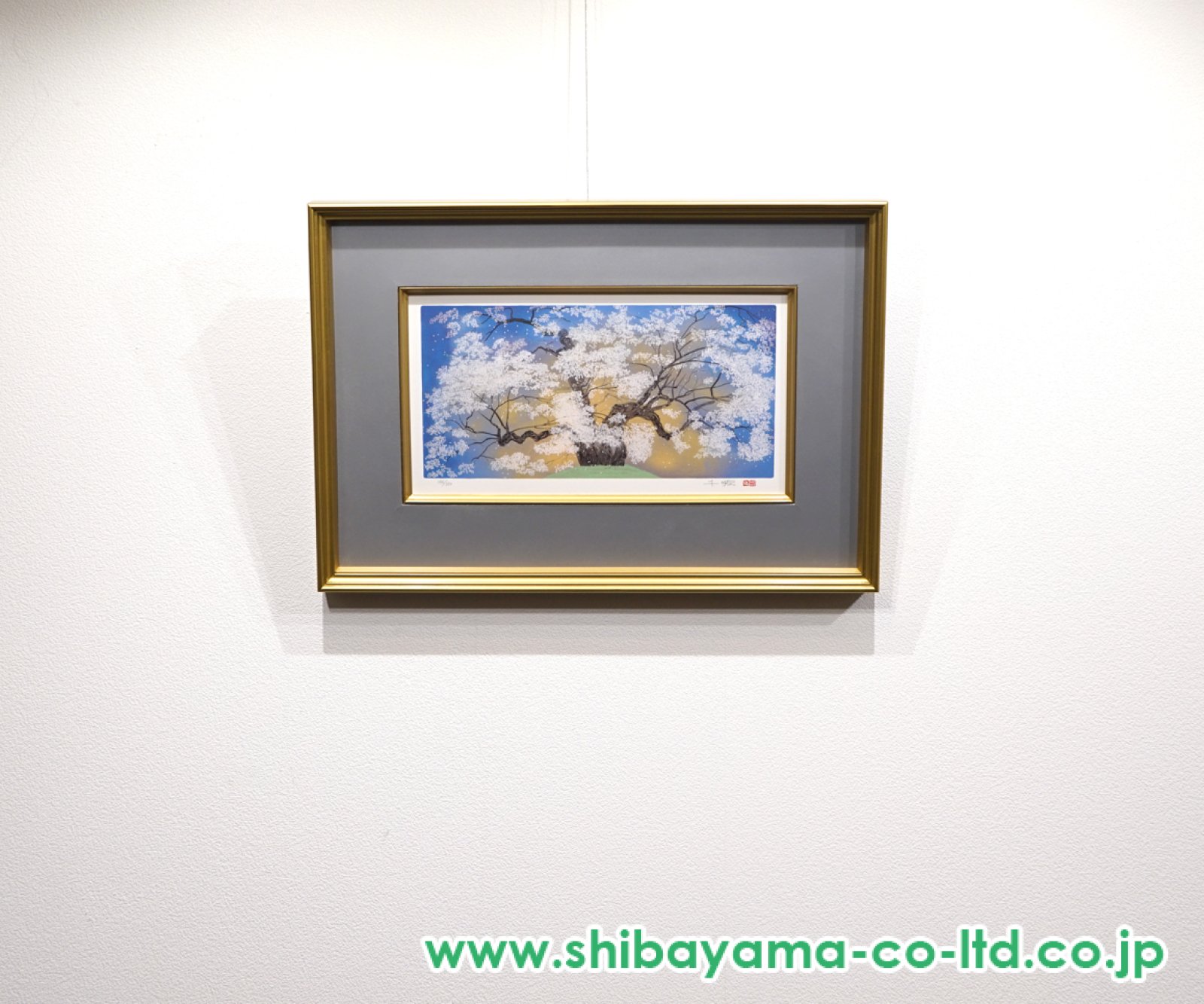 中島千波「醍醐の桜」シルクスクリーン :: 絵画買取・販売