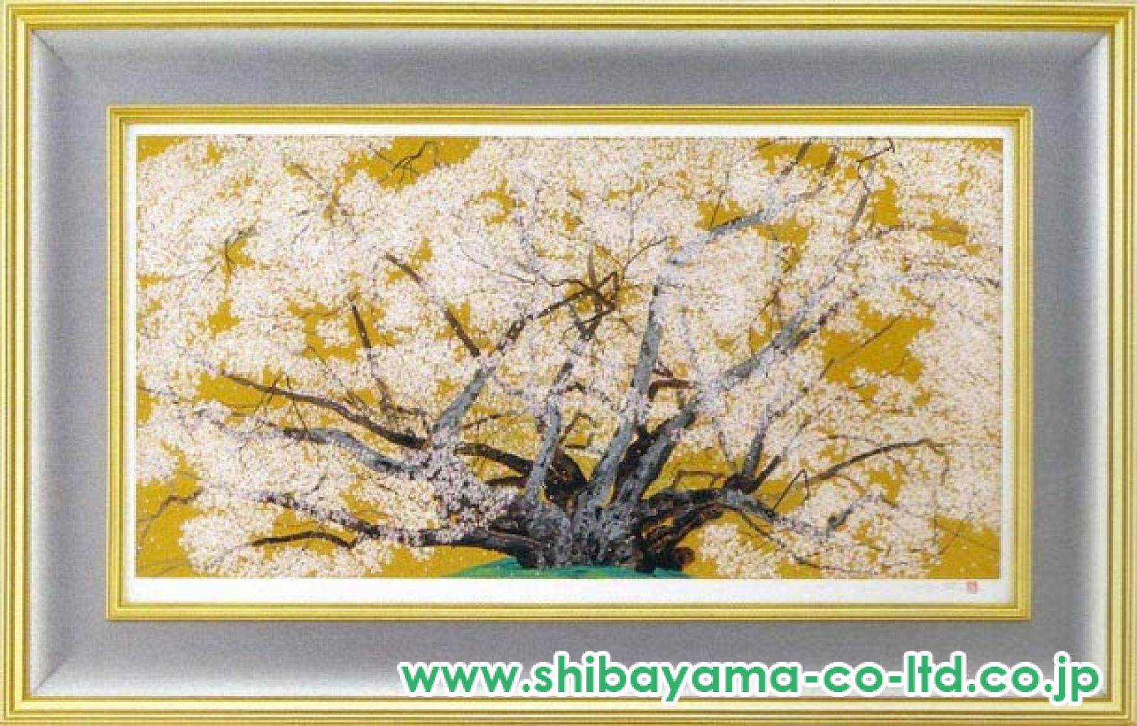 中島千波、【神代桜】、希少な大判額装用画集より、美品、日本人画家 中島千波、【神代桜】、希少な大判額装用画集より、美品、日本人
