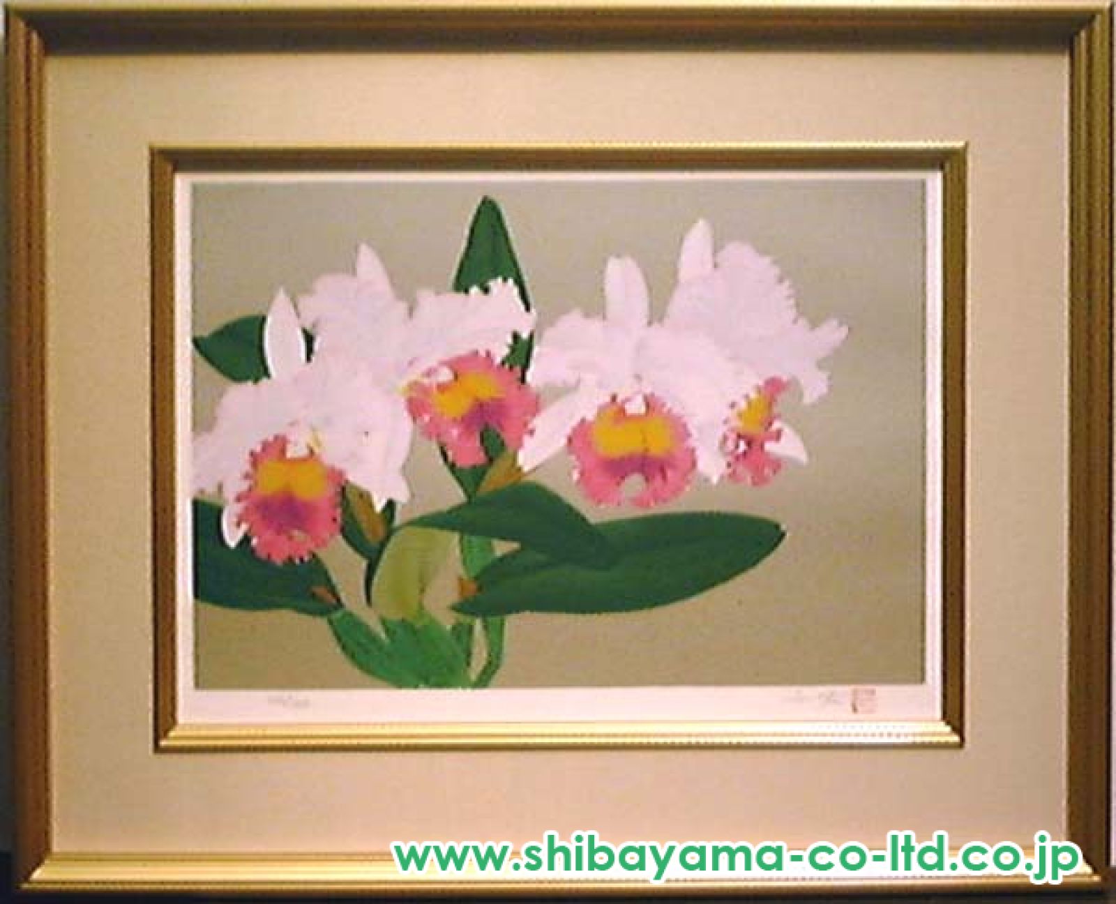 中島千波「華三彩より『華三彩・カトレア』」シルクスクリーン