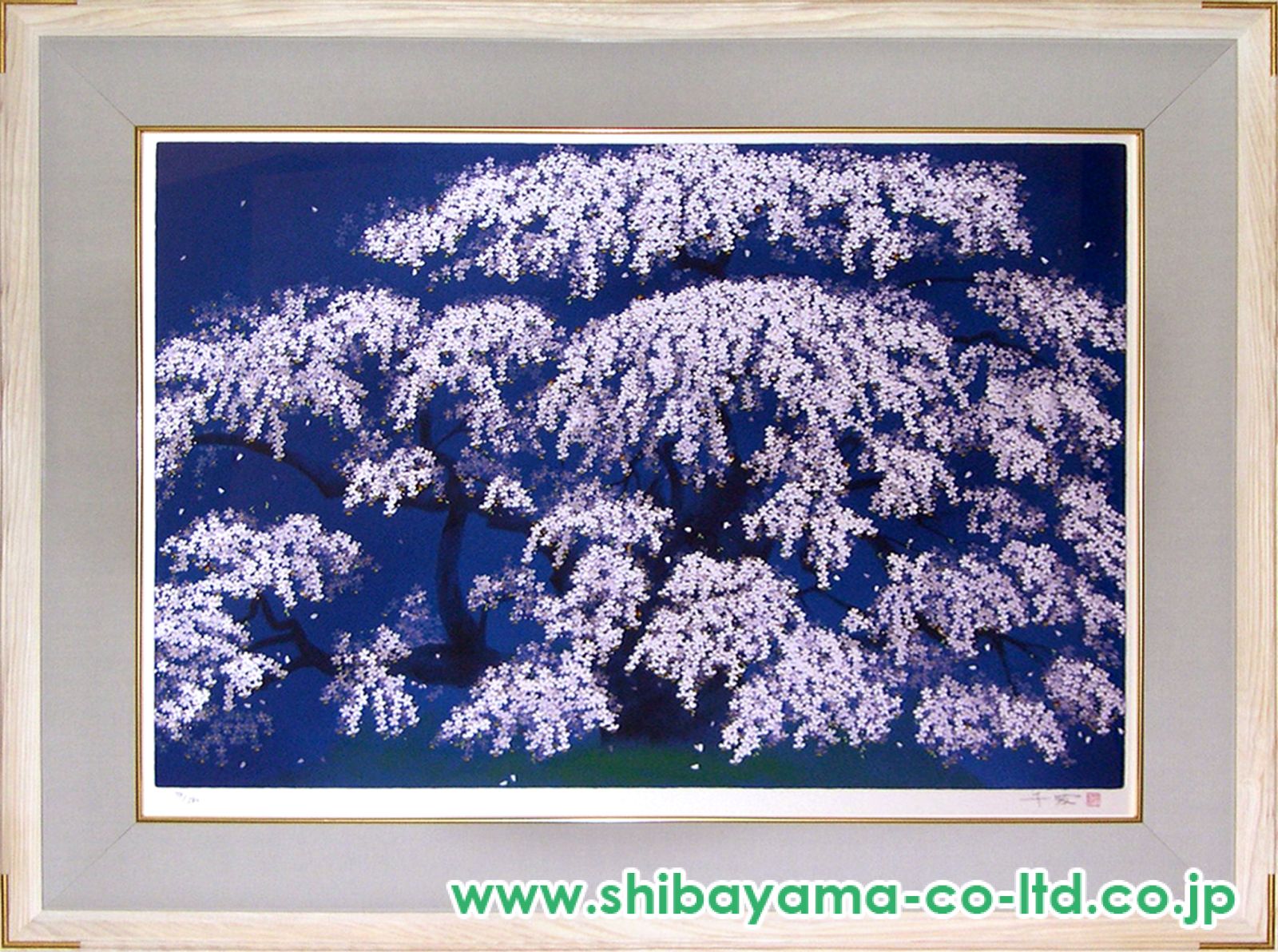 正規品美品）中島千波『桜花春映』シルクスクリーン絵画版画 楽天市場】中島千波 春麗山桜 桜 絵画 和風 日本画家 シルク
