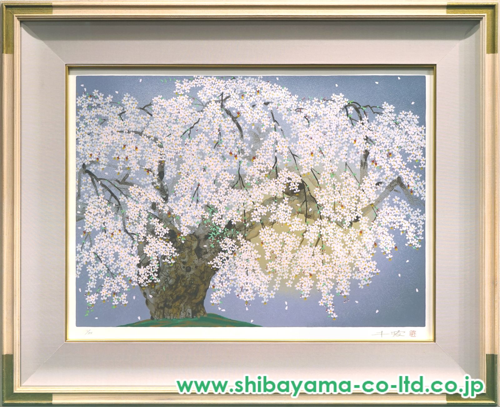 中島千波「袖之山枝垂櫻」シルクスクリーン :: 絵画買取・販売